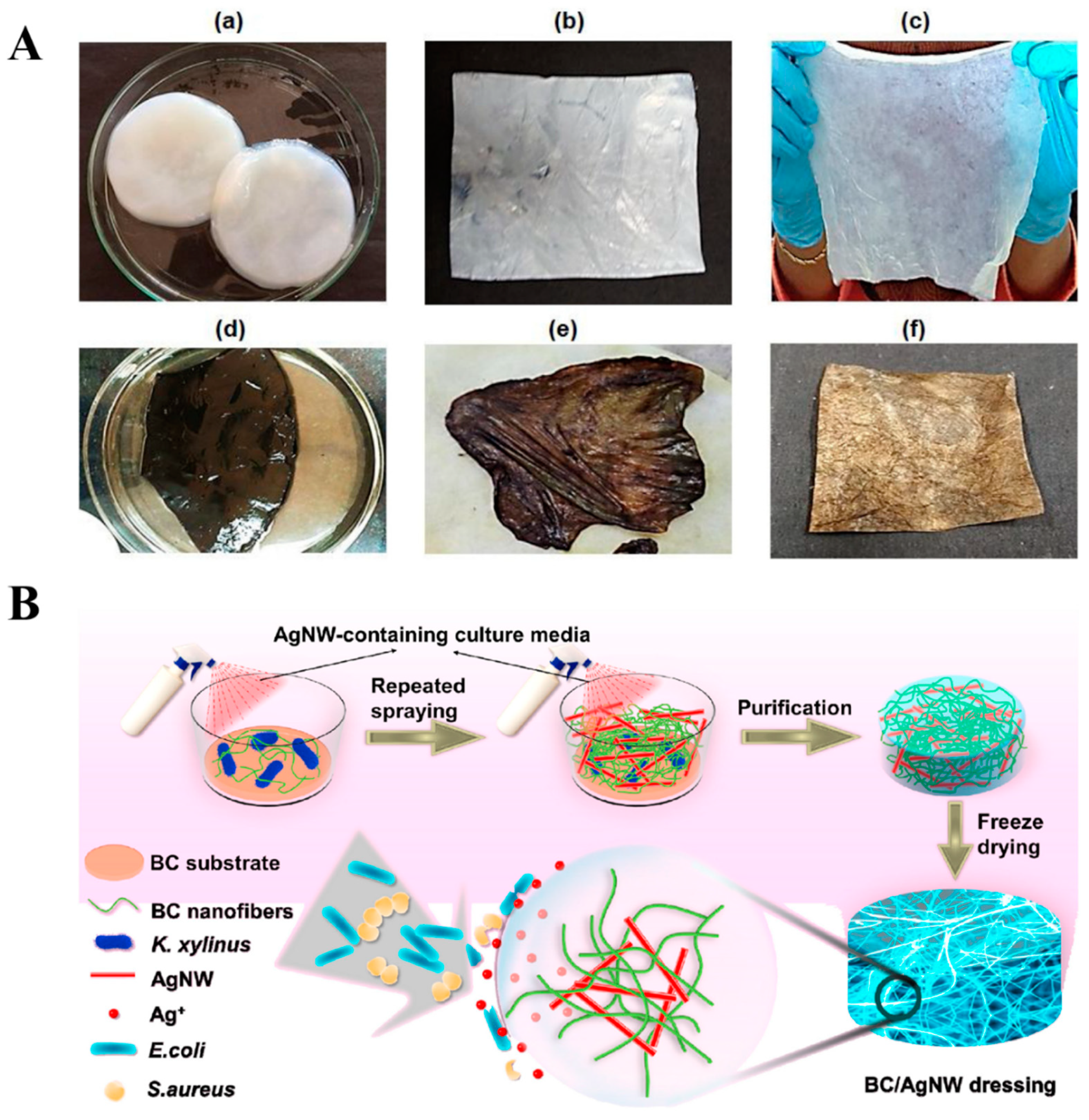 Evolutionary Innovation of latest dryness technology in dry cover sanitary  pads