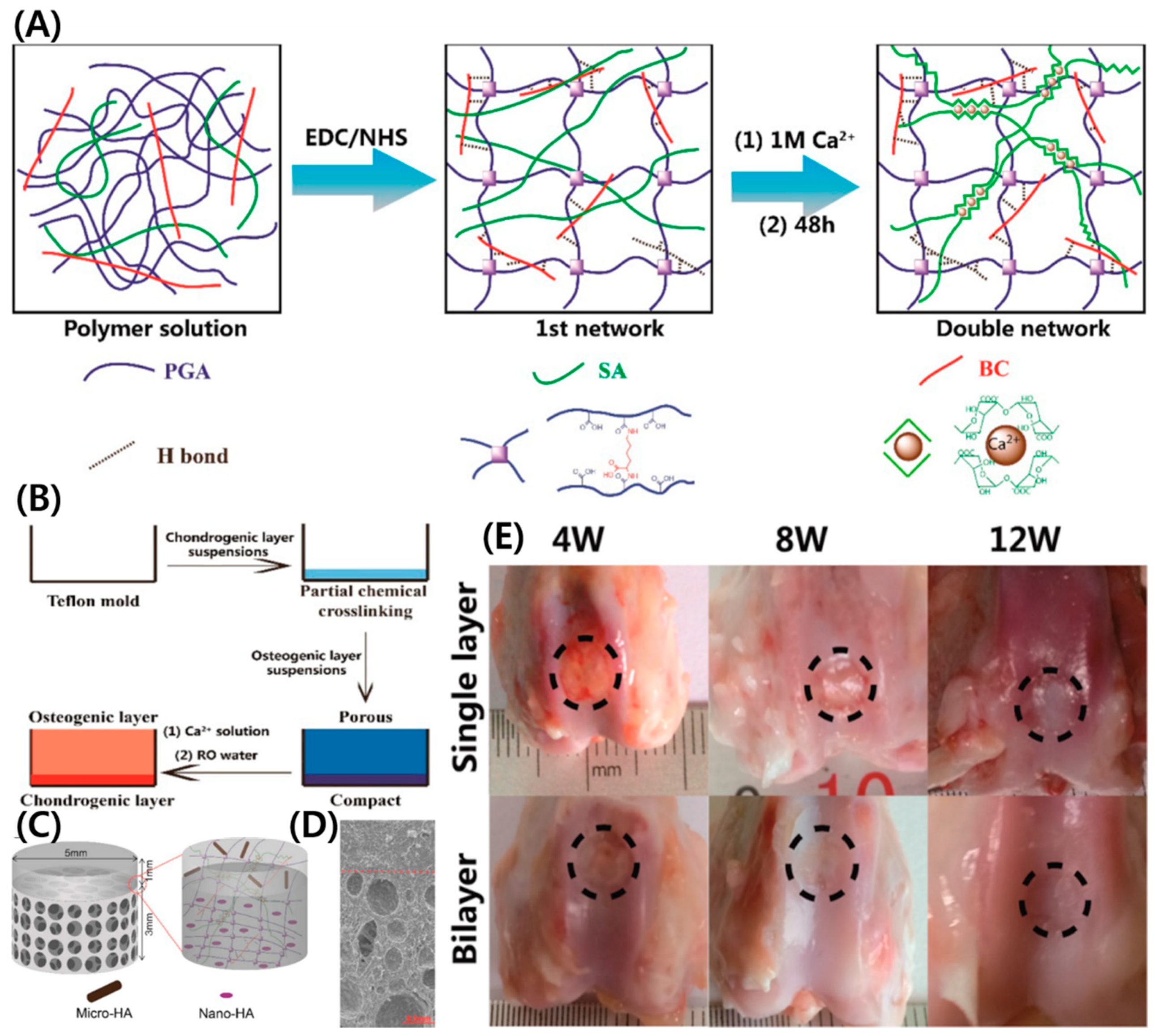 Polymers 14 01080 g003 Polymers 14 01080 g003