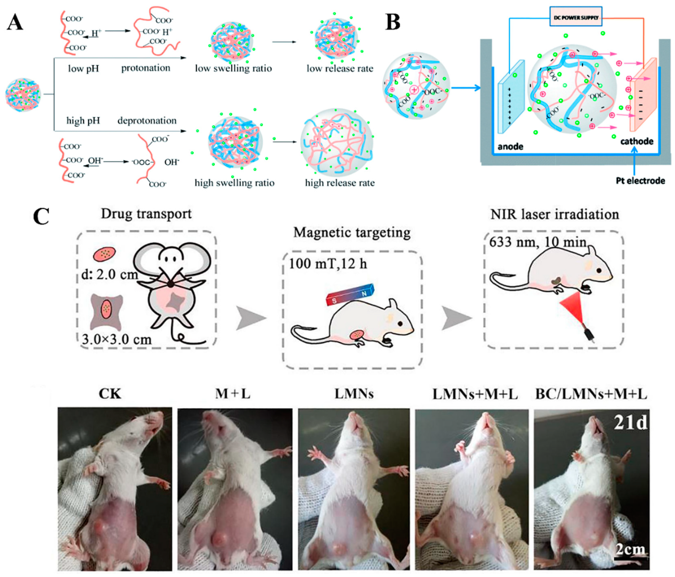 Polymers 14 01080 g007 Polymers 14 01080 g007