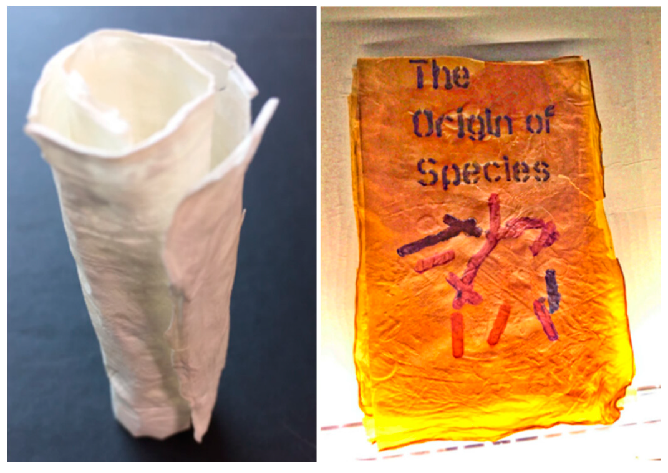 Polymers 14 01080 g008 Polymers 14 01080 g008