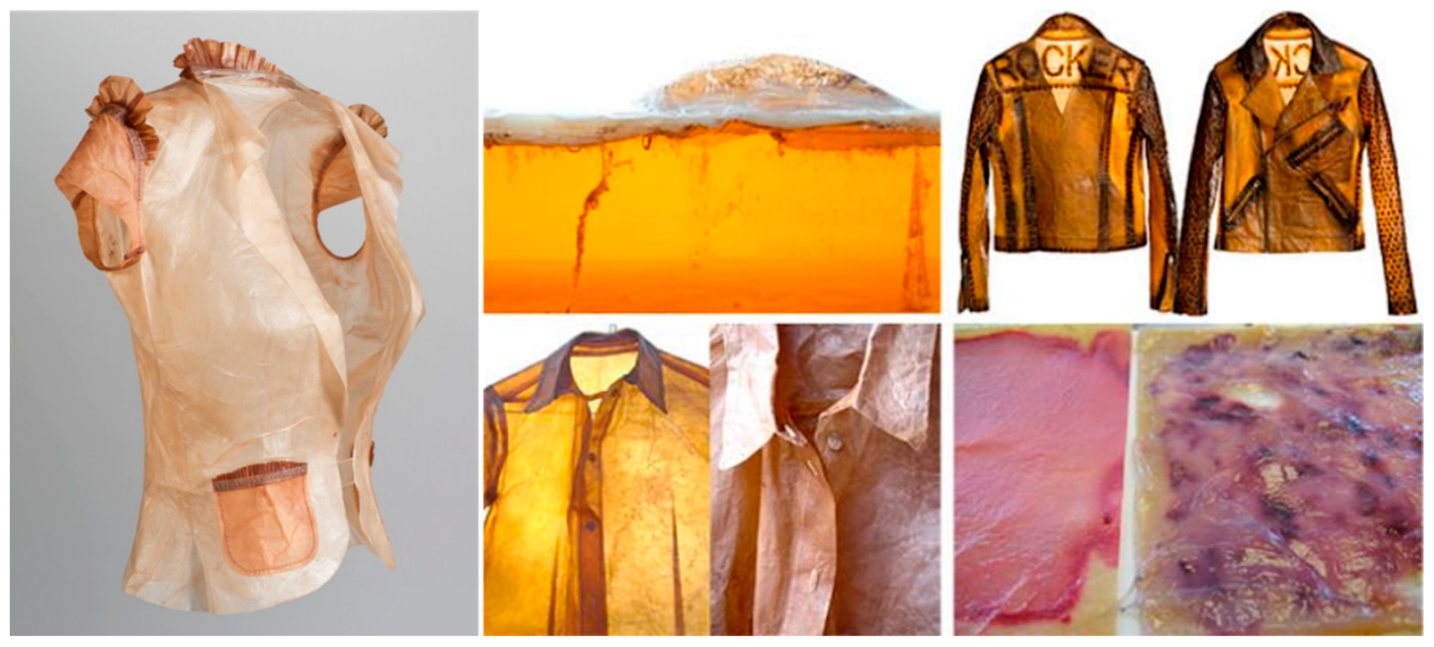 Polymers 14 01080 g012 Polymers 14 01080 g012