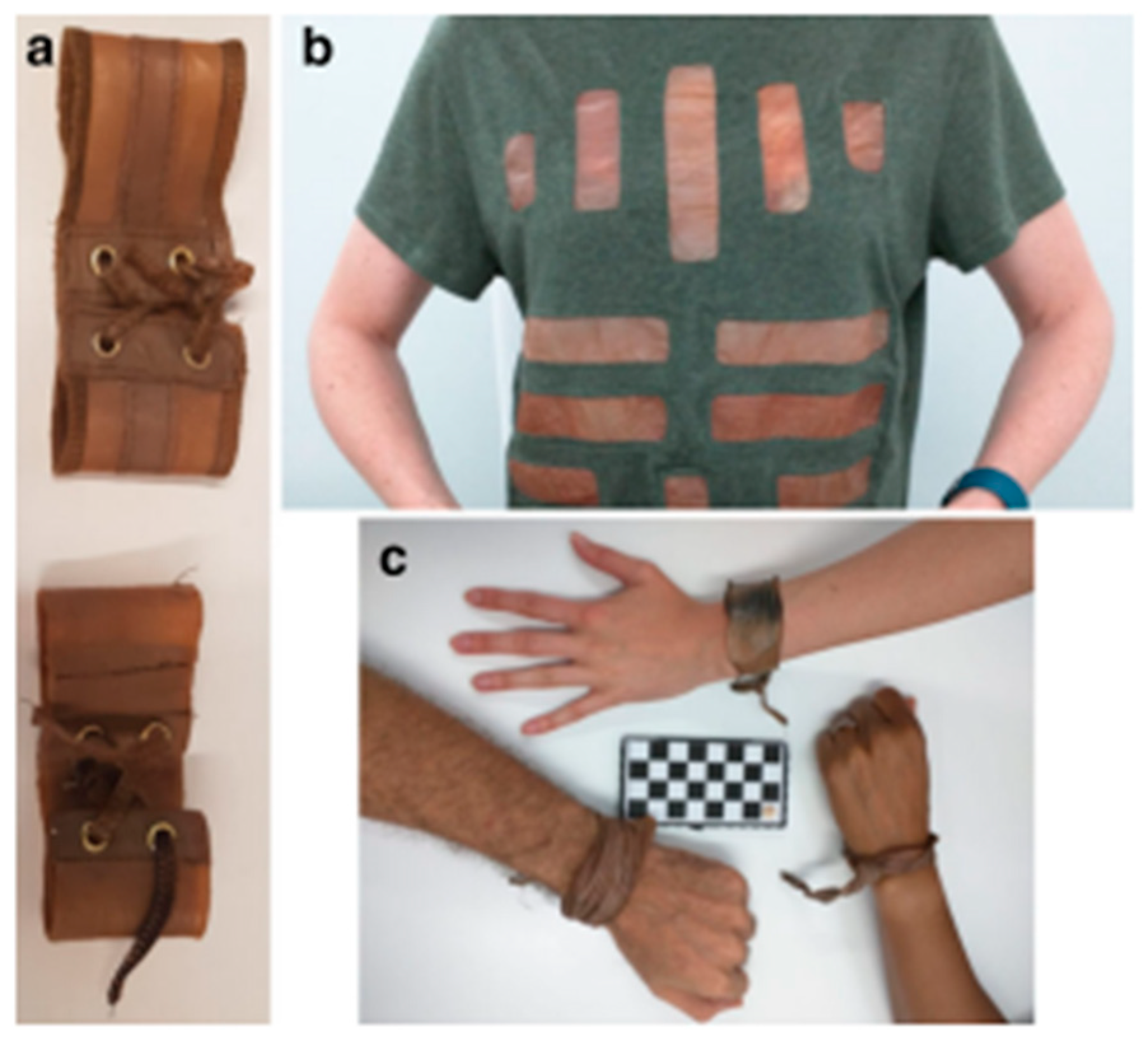 Polymers 14 01080 g014 Polymers 14 01080 g014