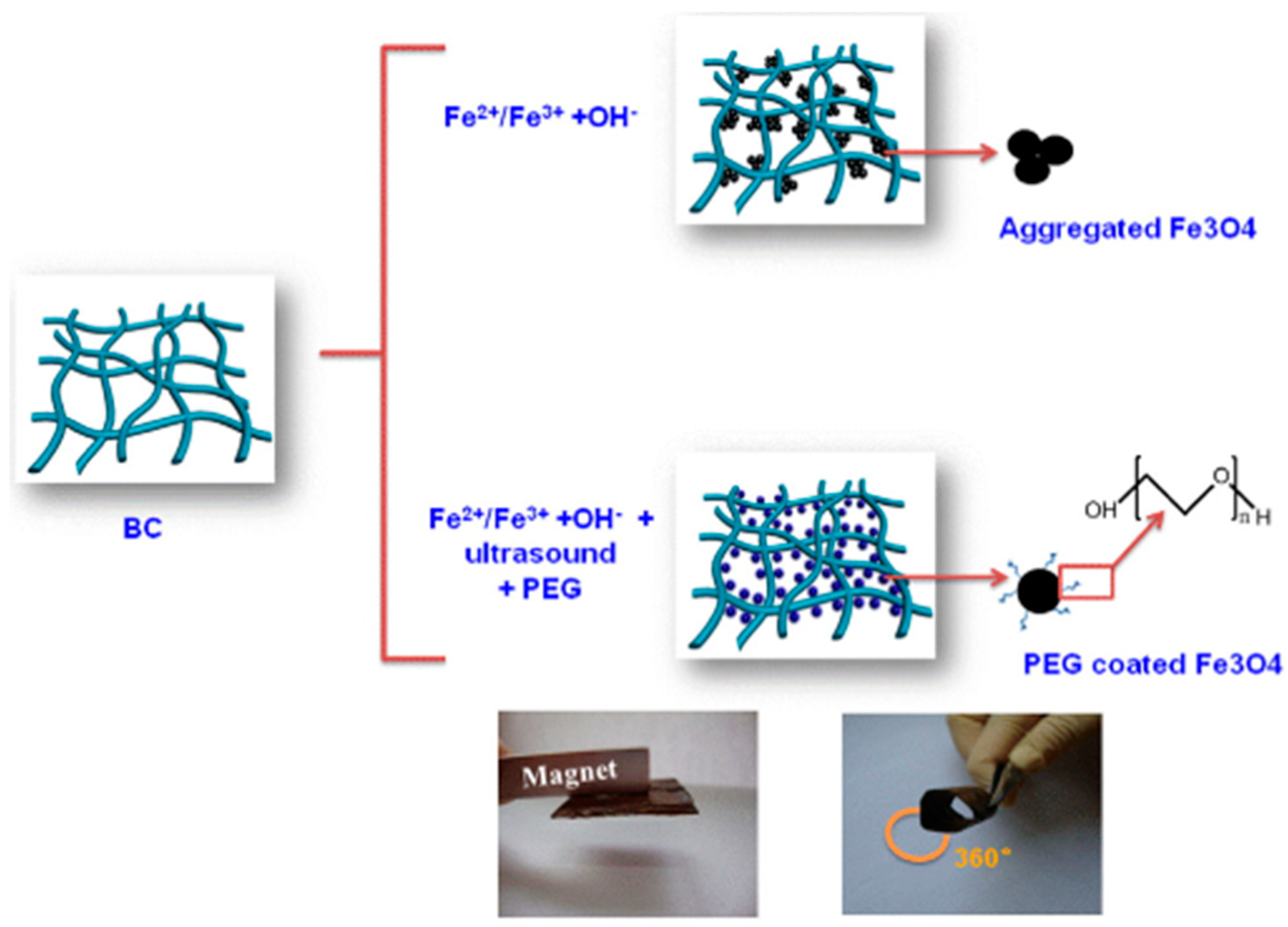 Polymers 14 01080 g020 Polymers 14 01080 g020