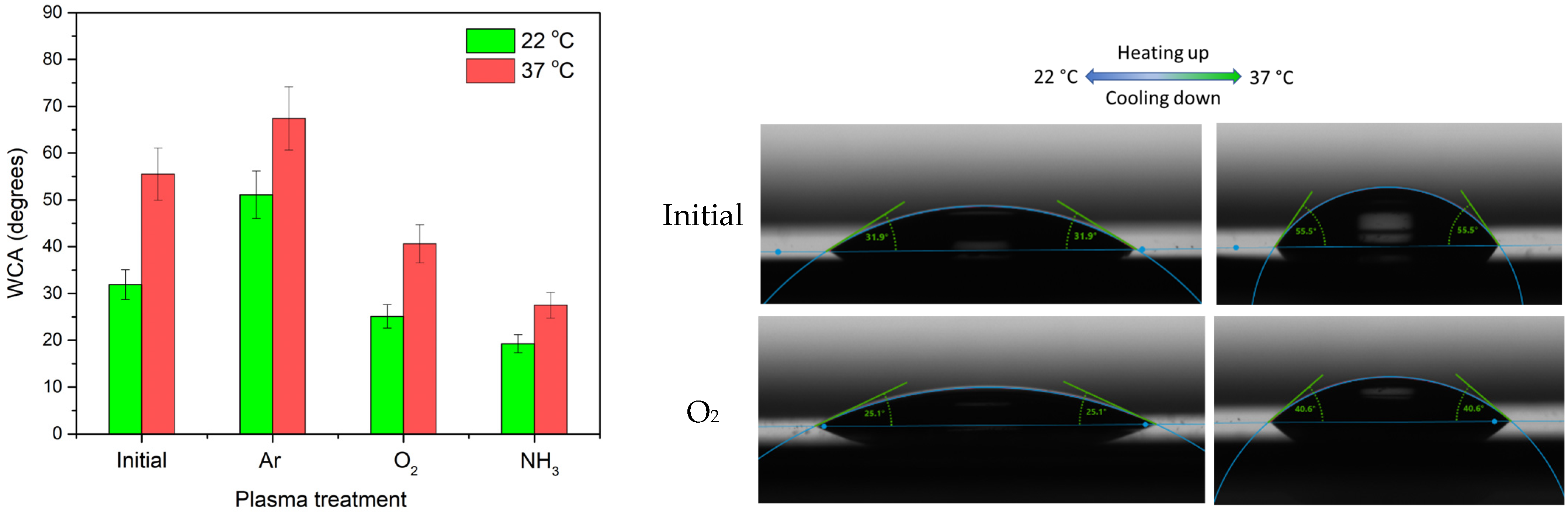 Polymers 14 01081 g008