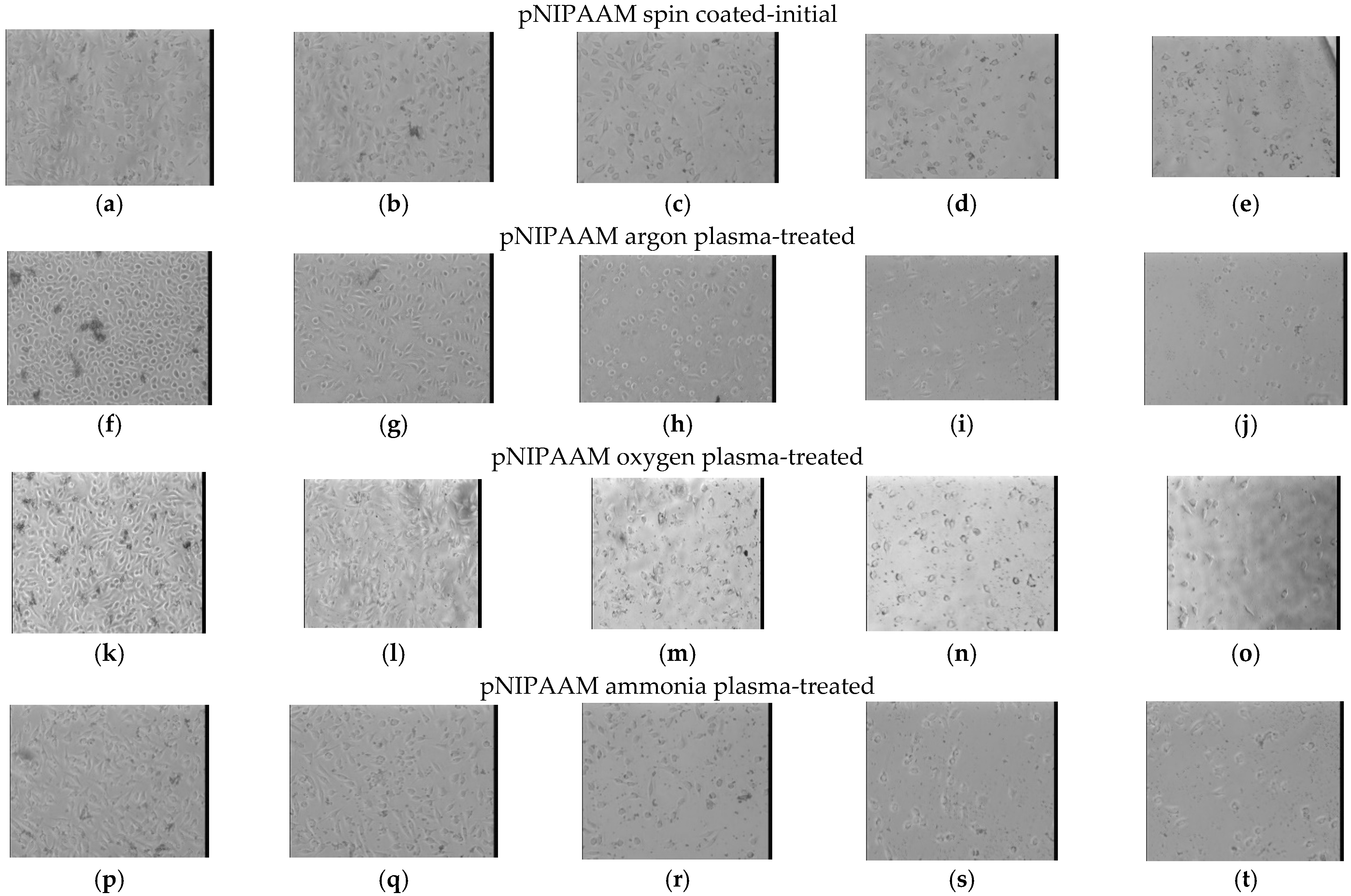 Polymers 14 01081 g011