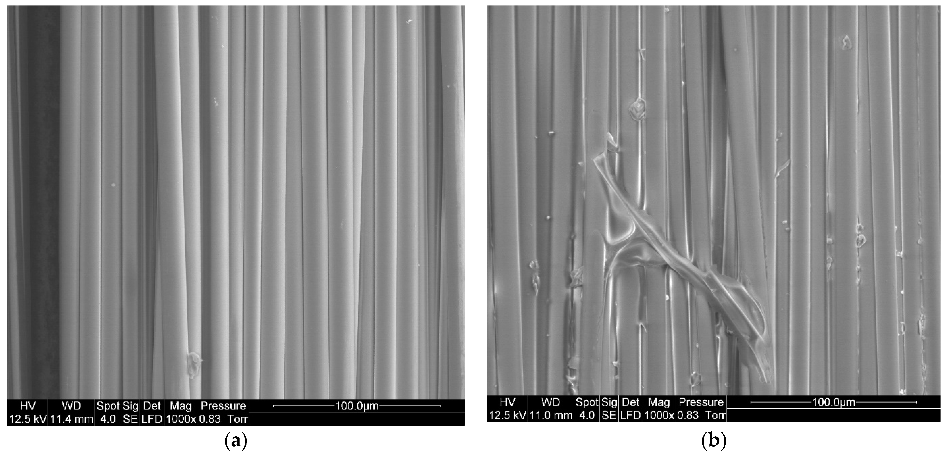 Polymers 14 01083 g009 550