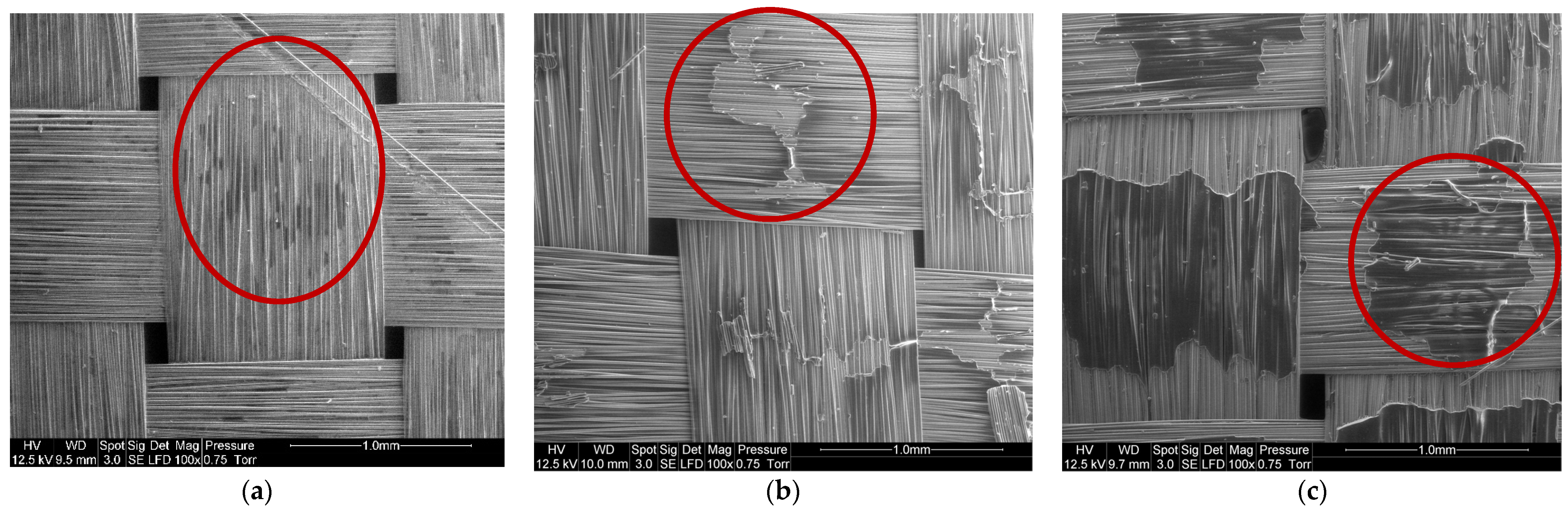 Polymers 14 01083 g010 550