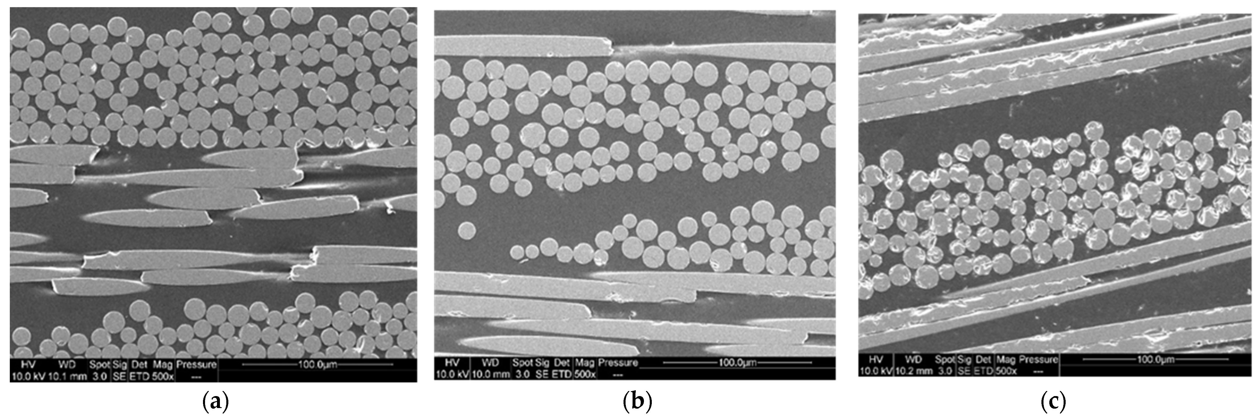 Polymers 14 01083 g015 550