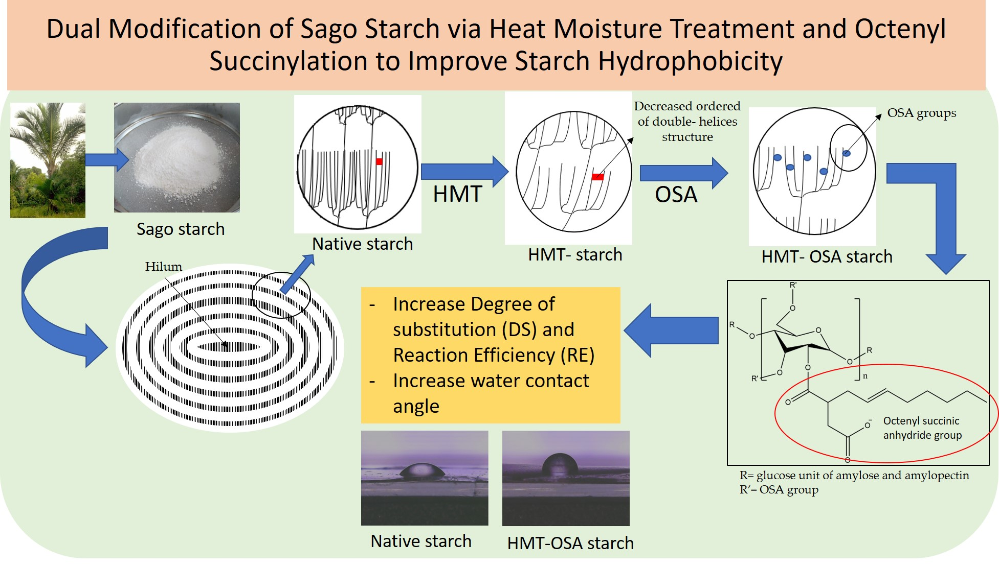 Polymers Free FullText Dual Modification of Sago Starch via Heat