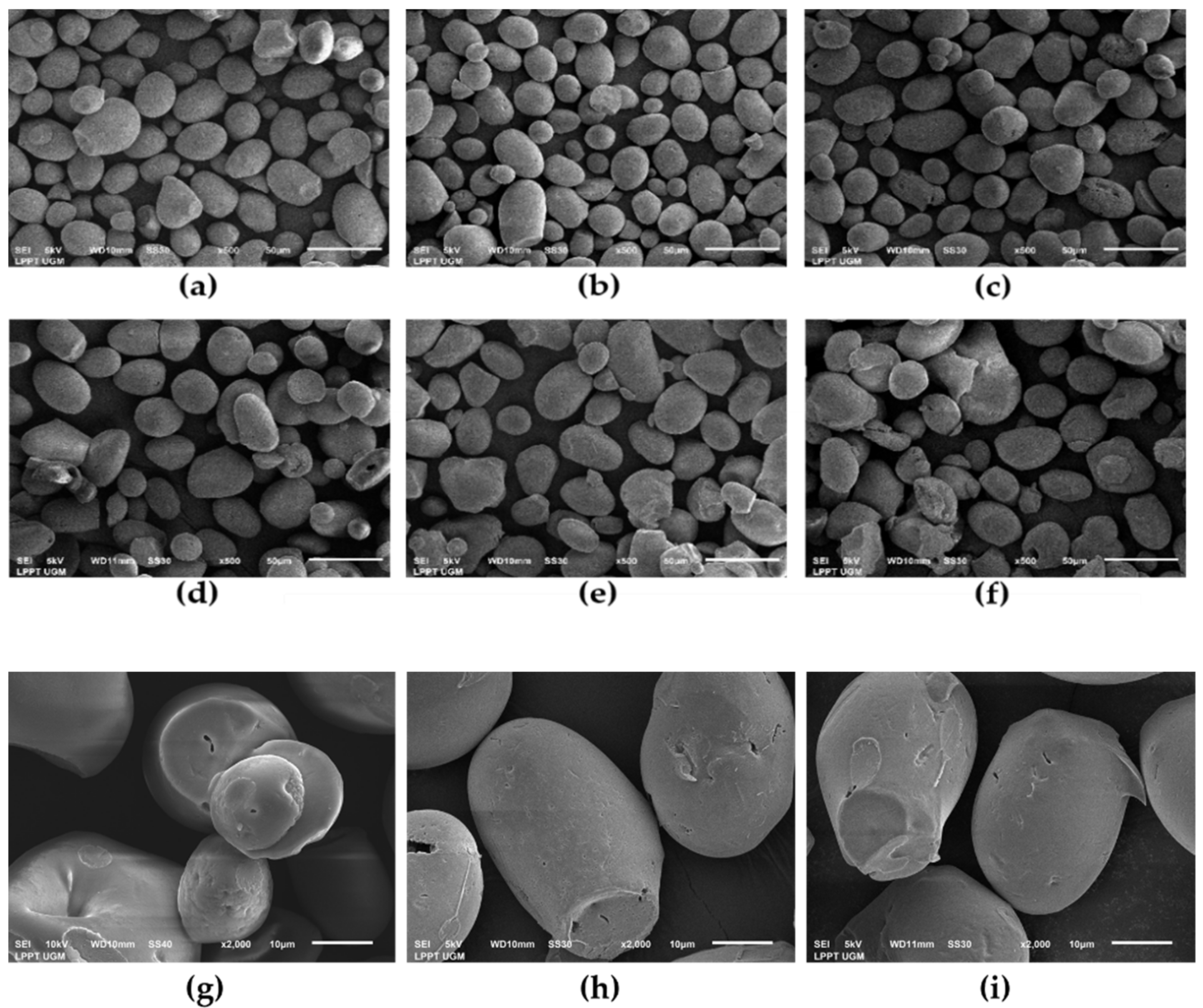 Polymers 14 01086 g005