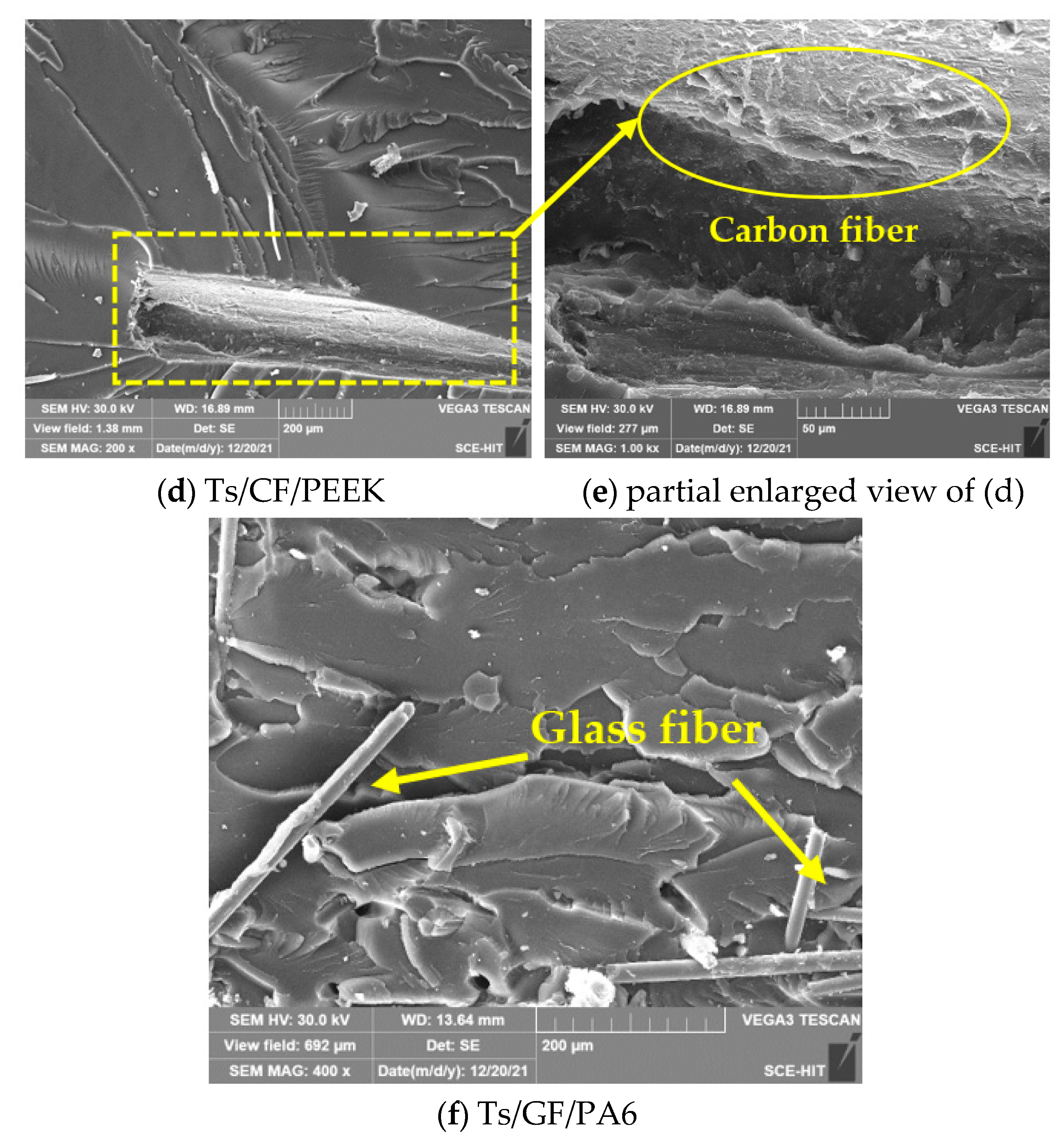 Polymers 14 01087 g017b