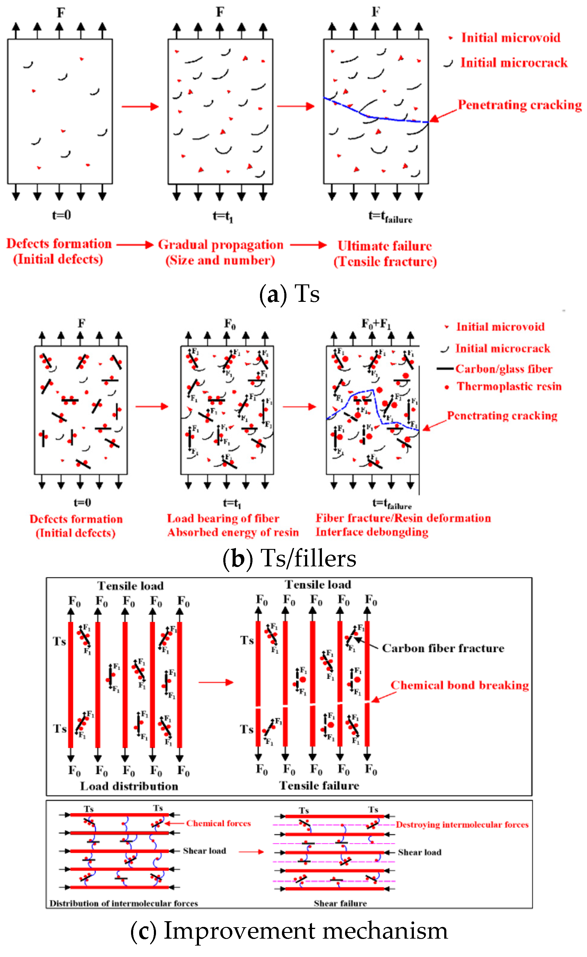 Polymers 14 01087 g018