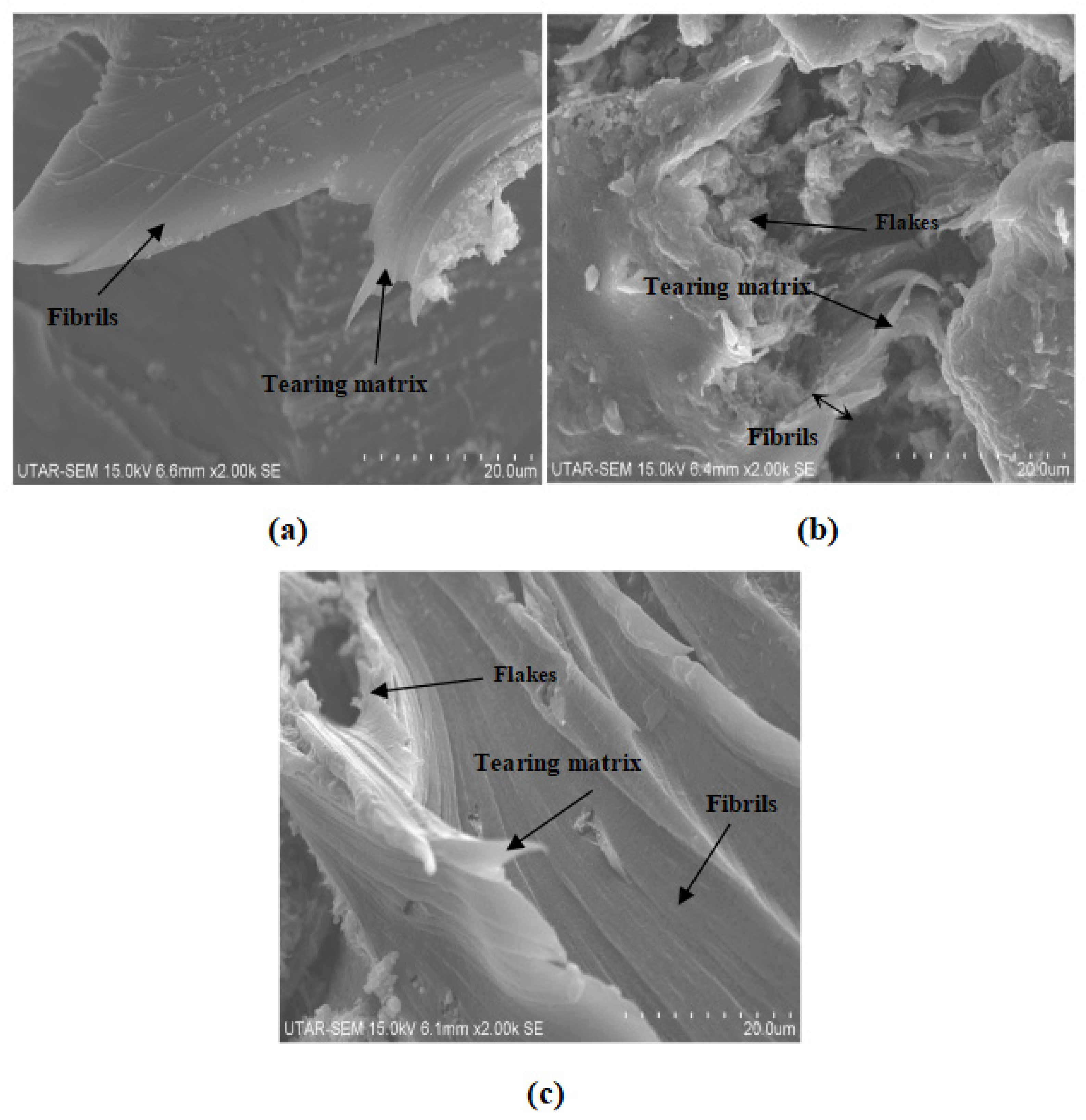 Polymers 14 01089 g009