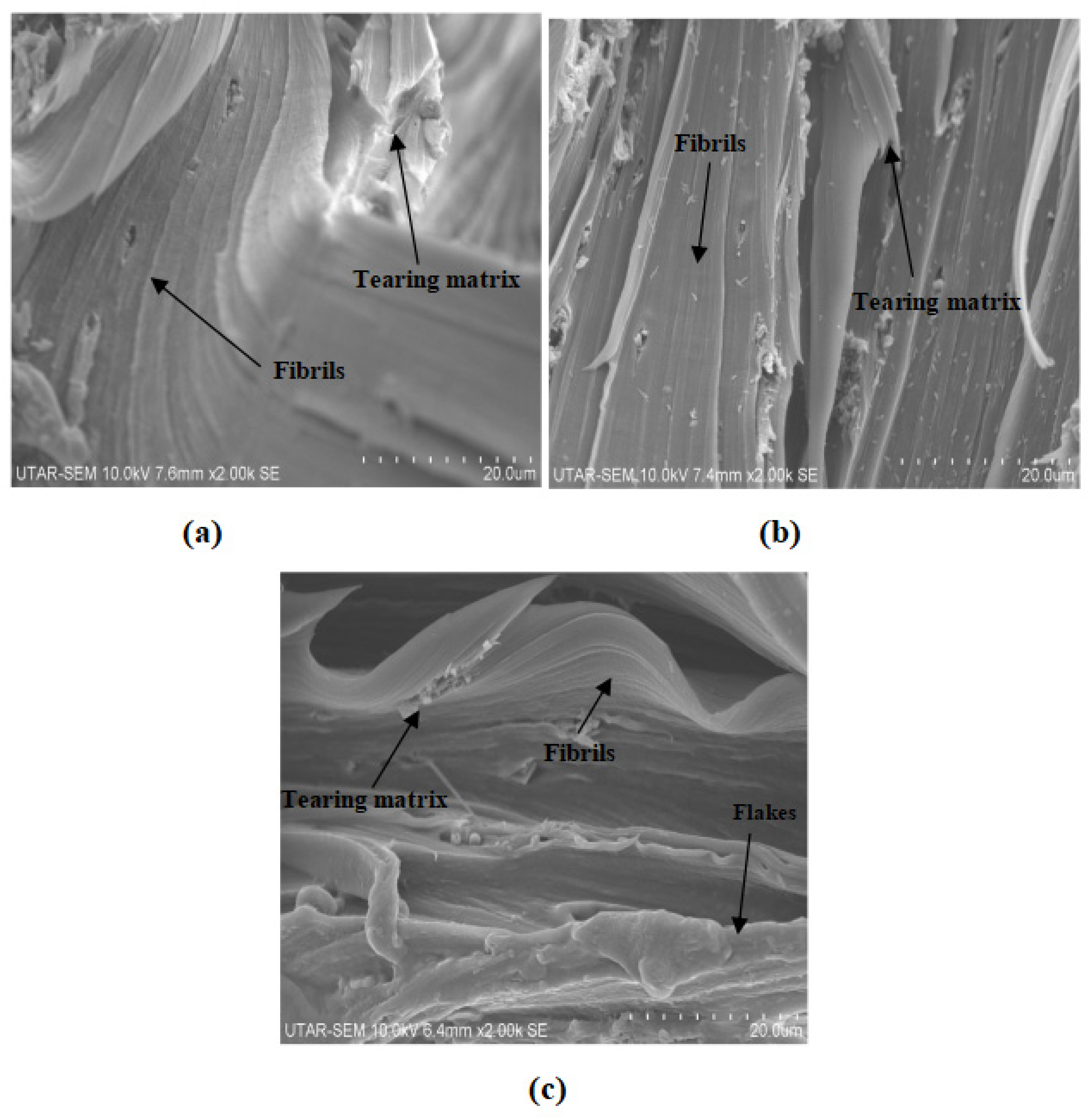 Polymers 14 01089 g010