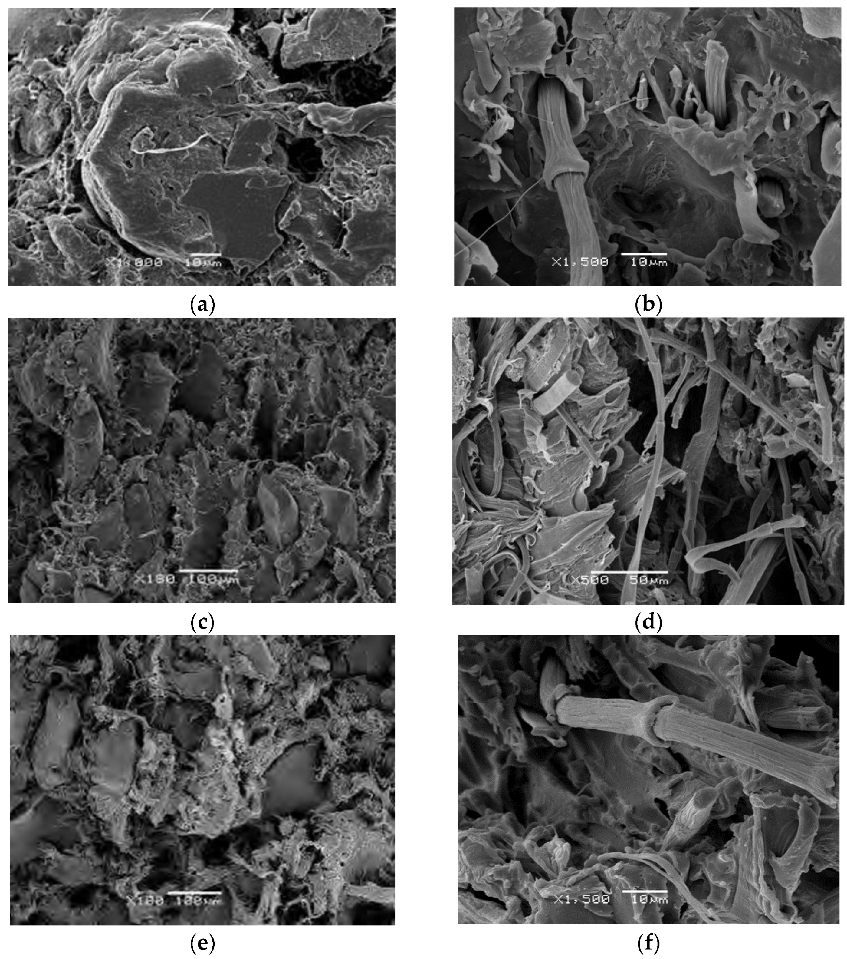 Polymers 14 01090 g004