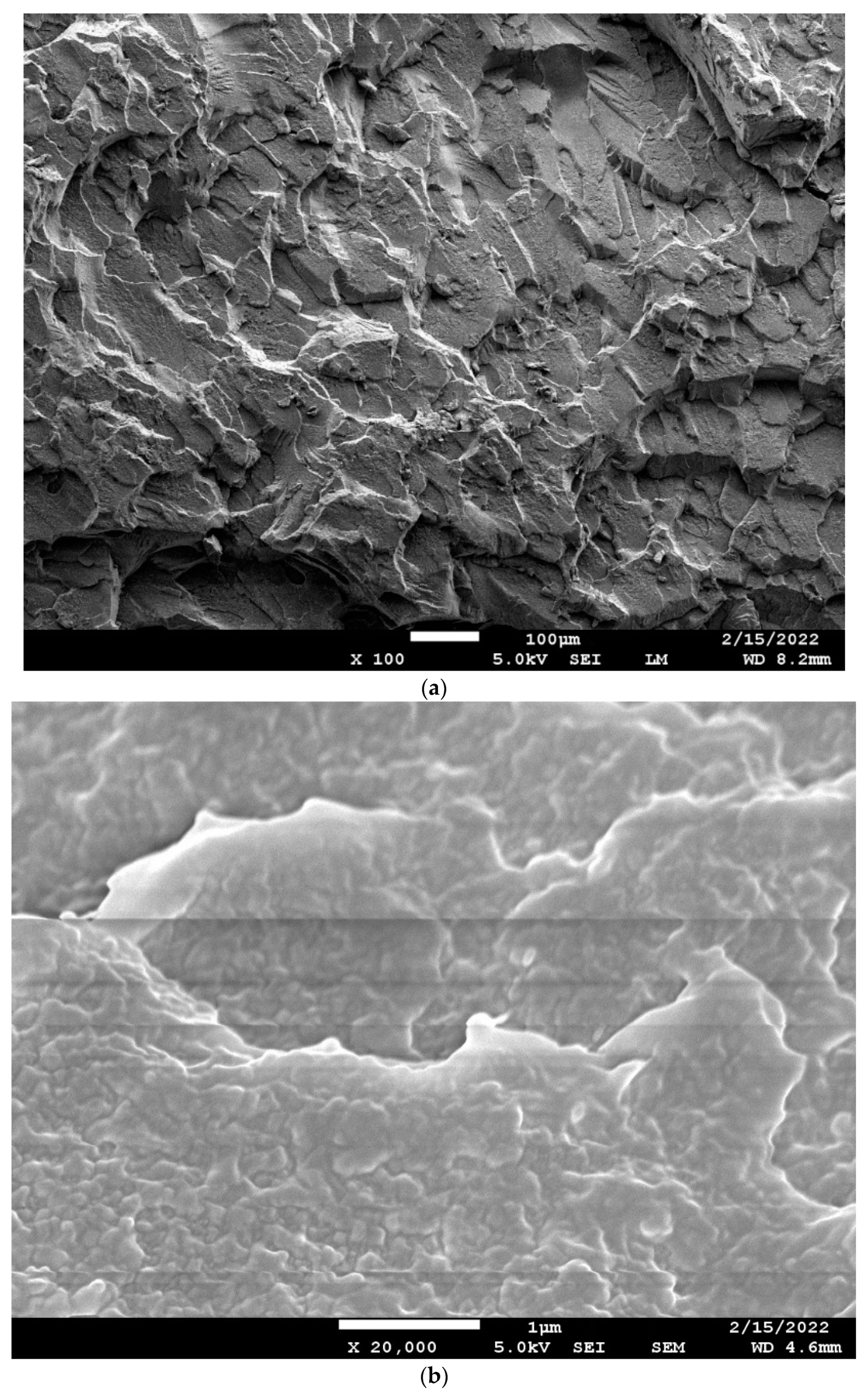 Polymers 14 01092 g014 550