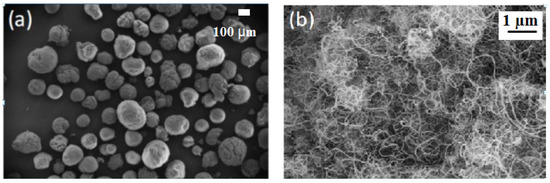 Polymer/Carbon Nanotube Based Nanocomposites for