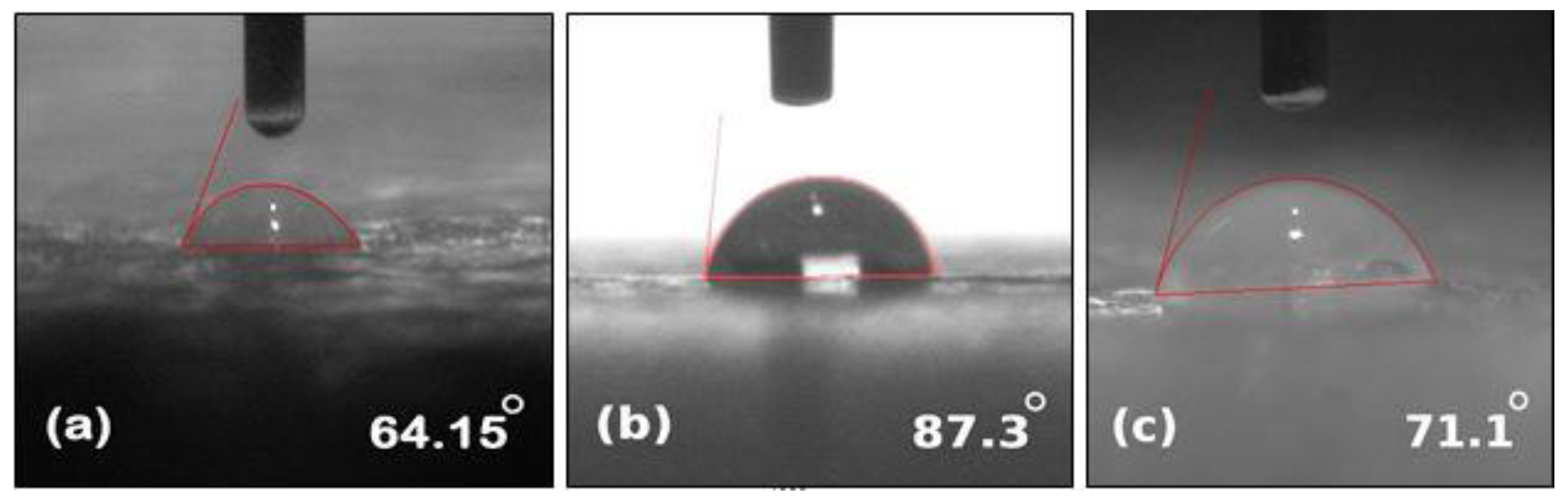 Polymers 14 01094 g006