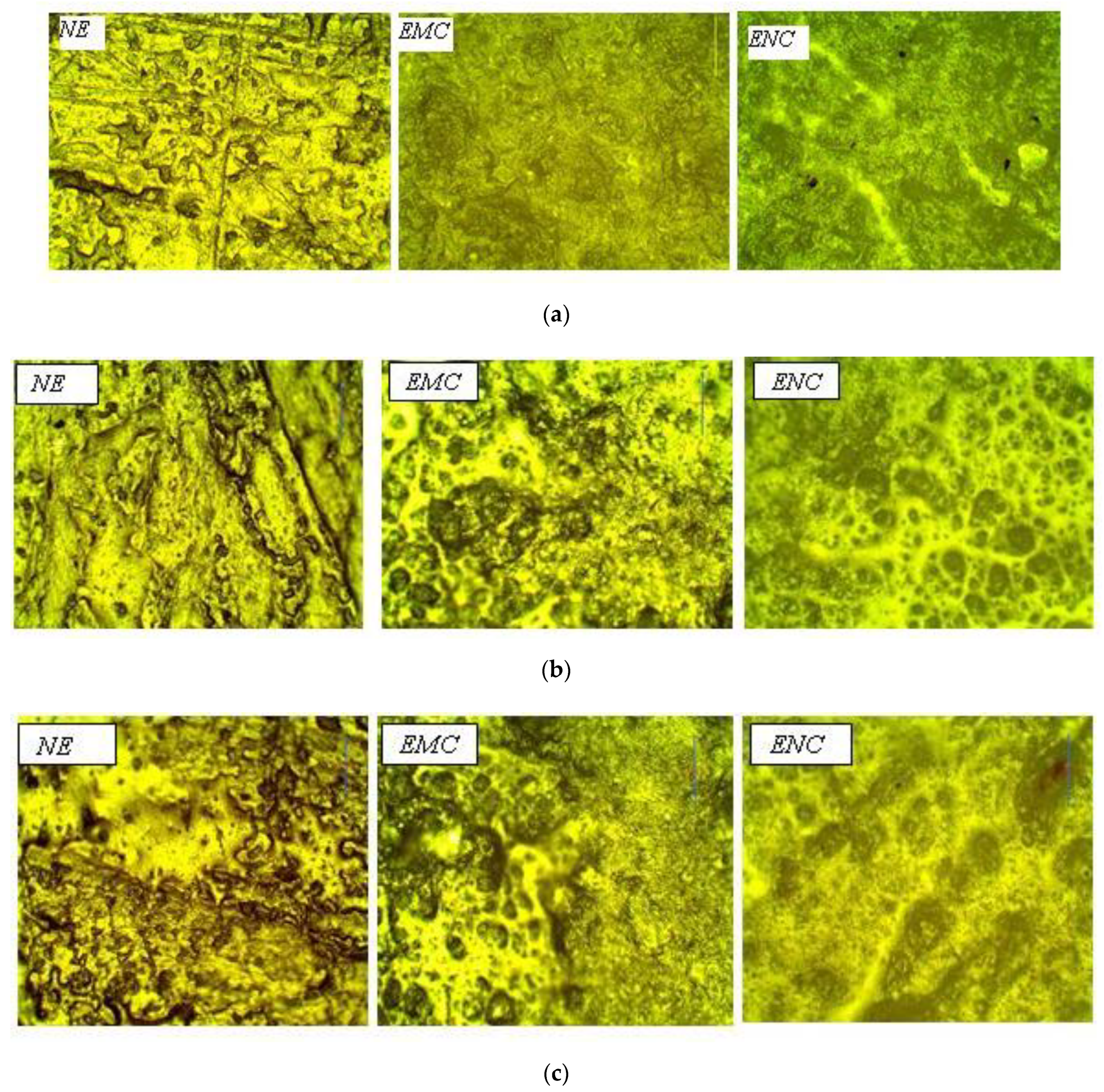 Polymers 14 01094 g008