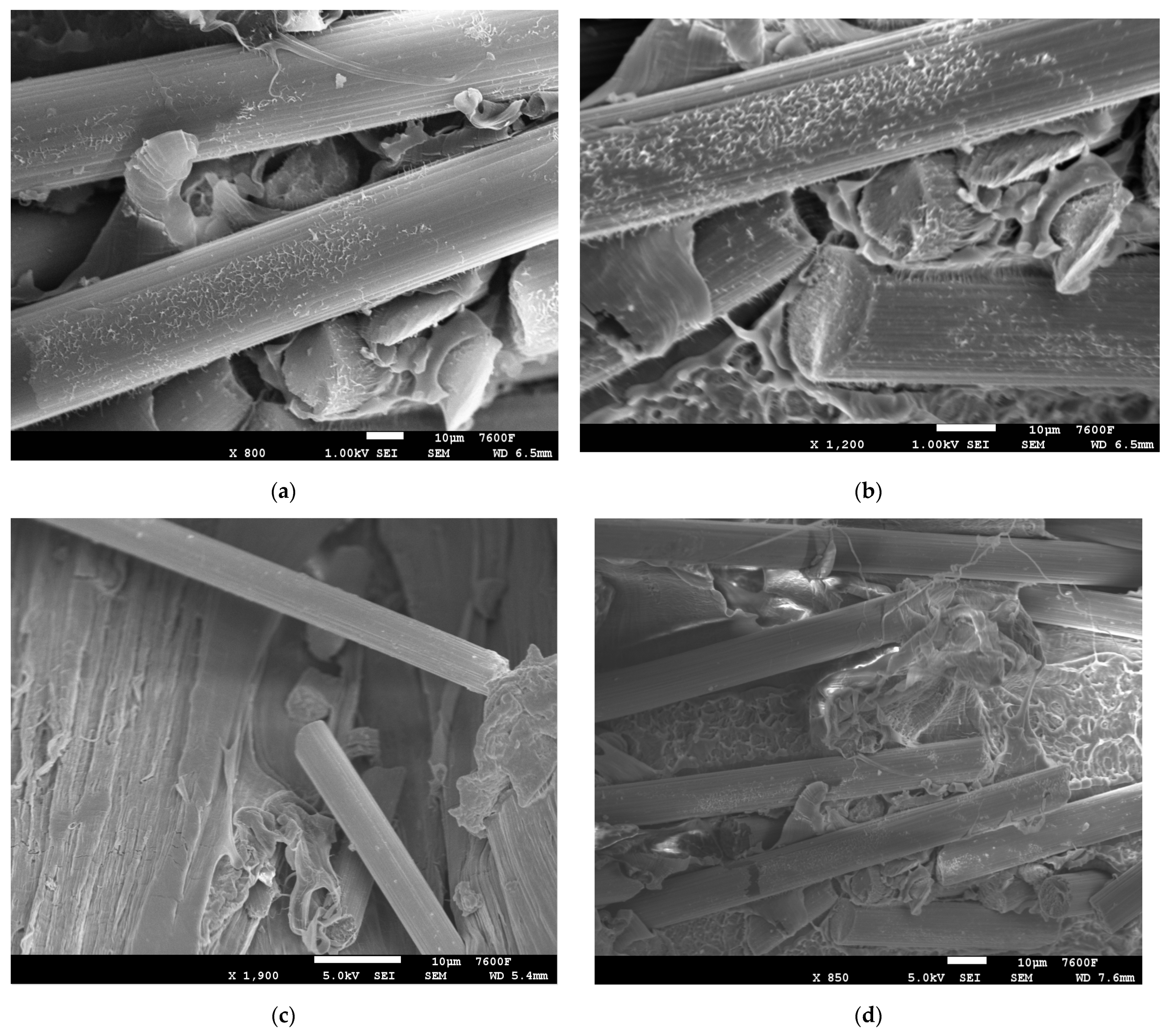 Polymers 14 01095 g003