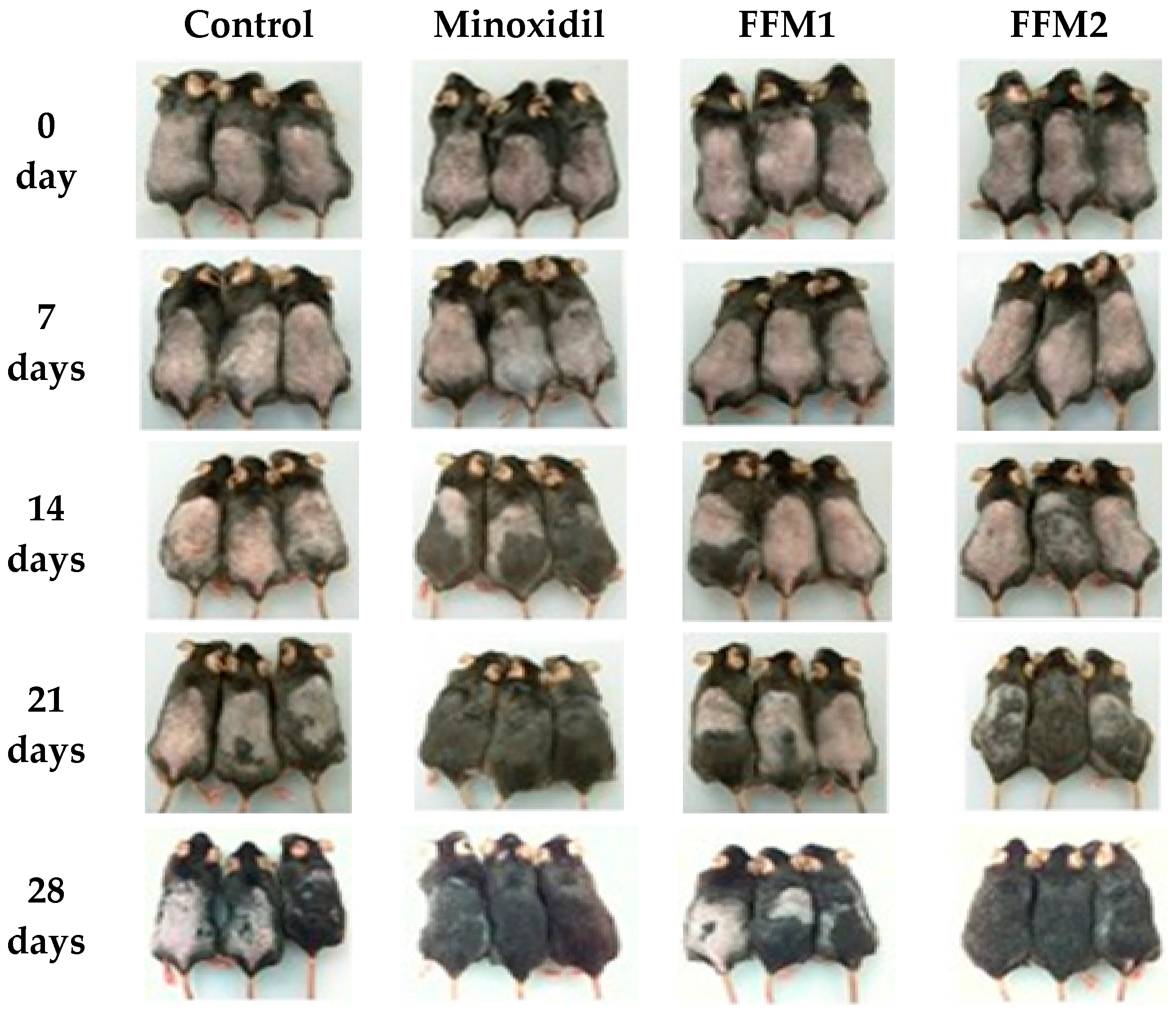 Polymers 14 01096 g005