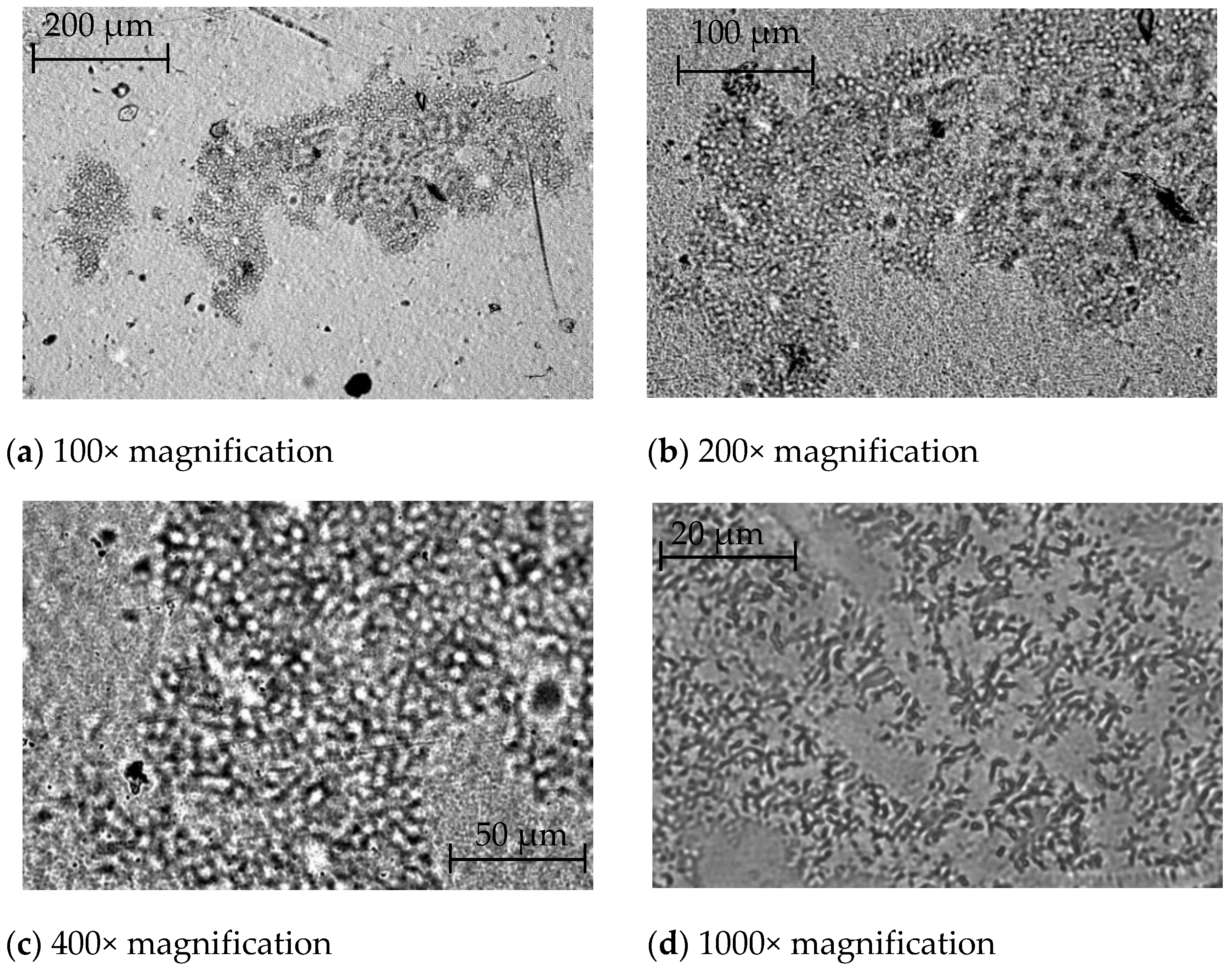 Polymers 14 01097 g004