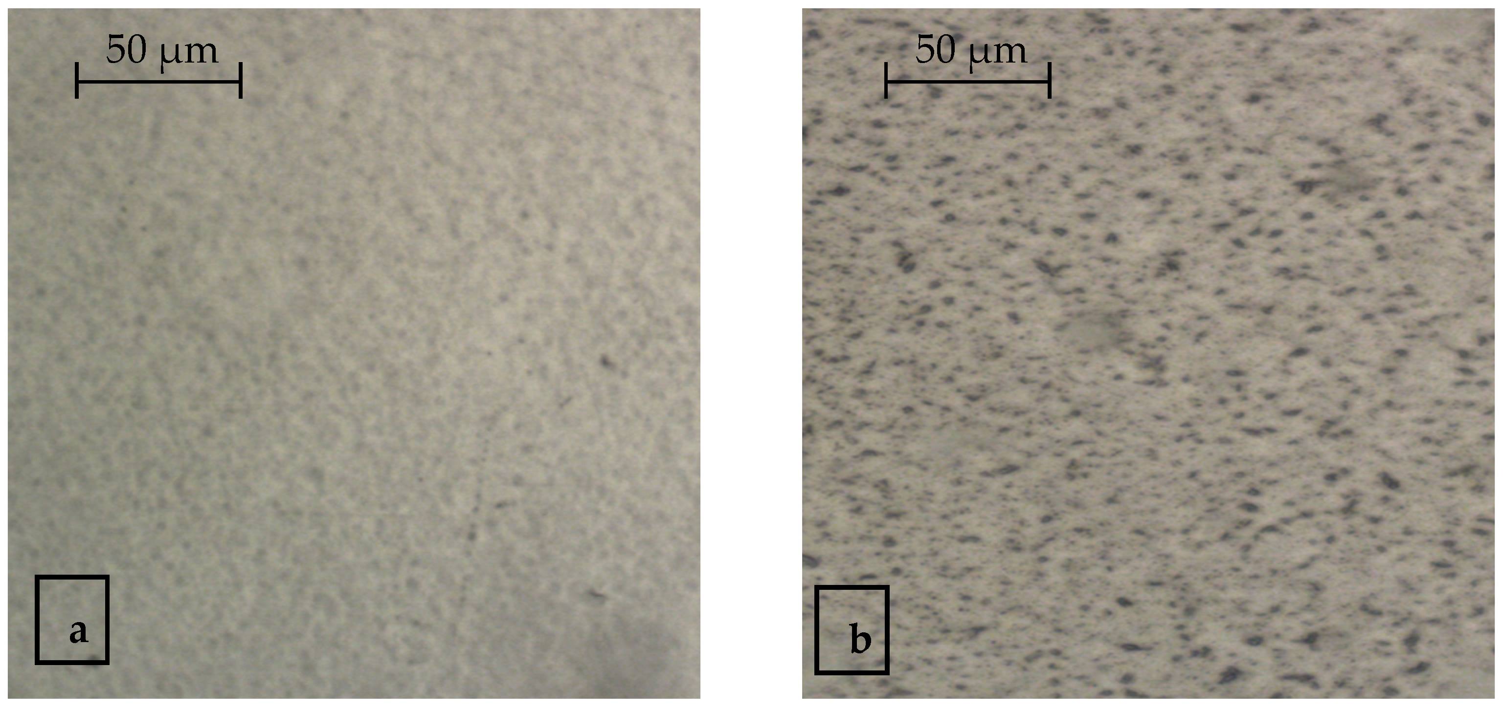 Polymers 14 01097 g006