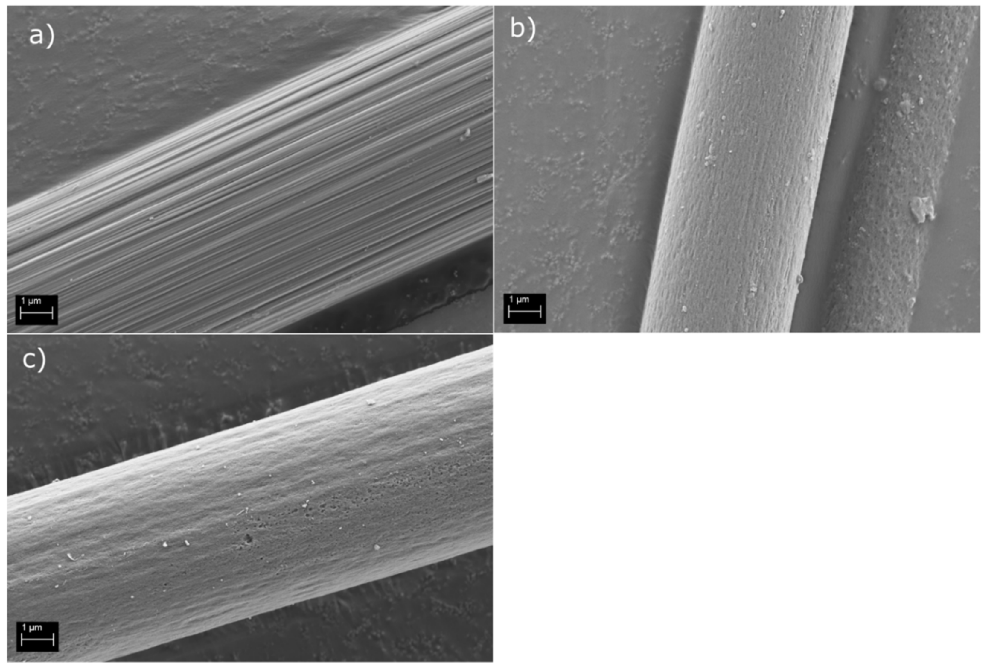 Polymers 14 01098 g001