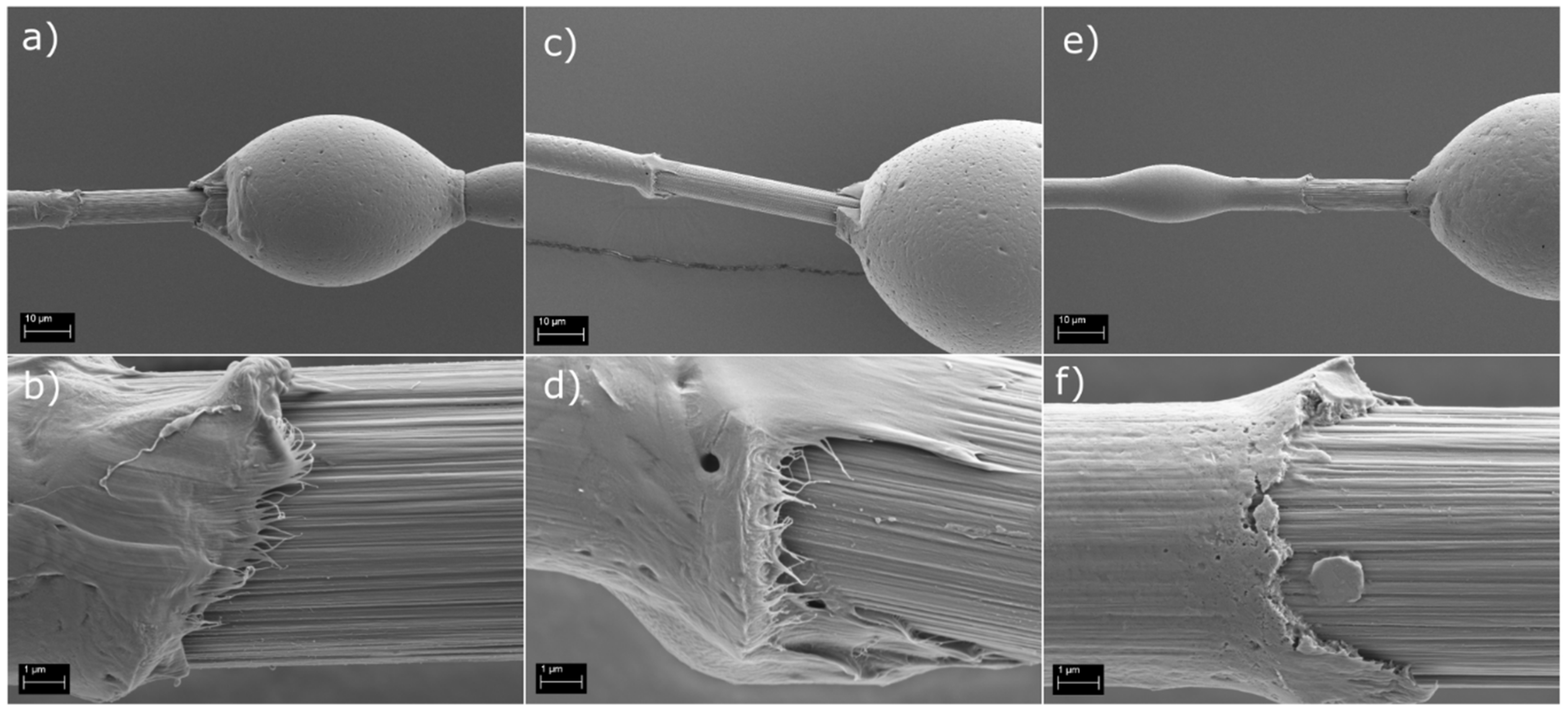 Polymers 14 01098 g004