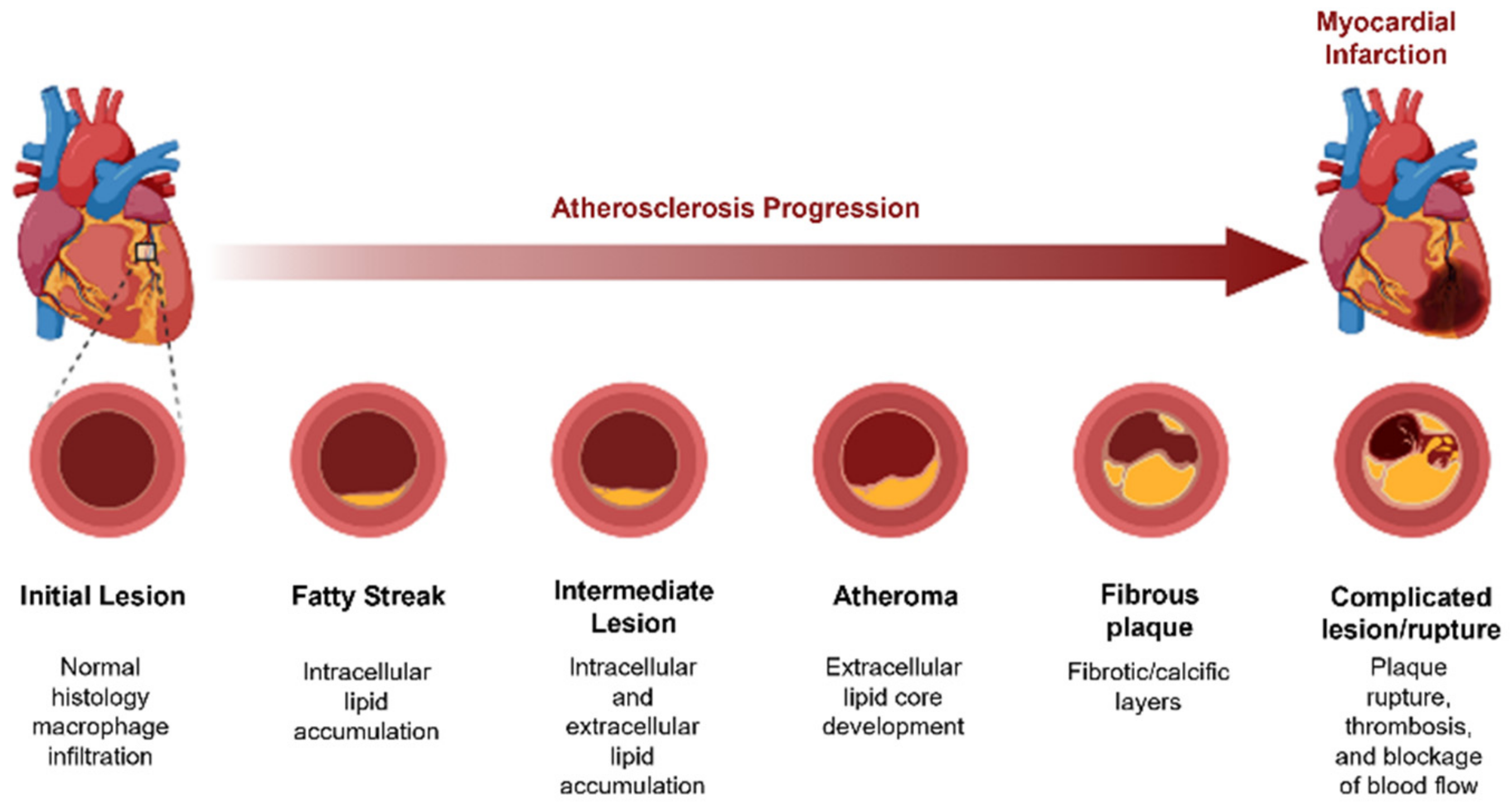 Polymers 14 01099 g001