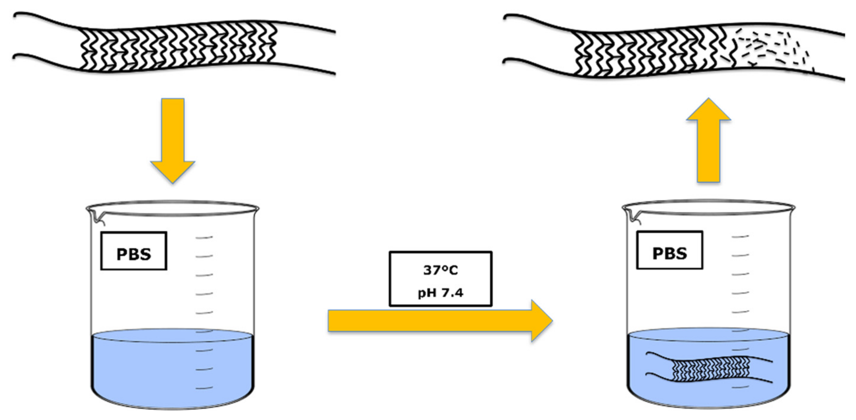 Polymers 14 01099 g002