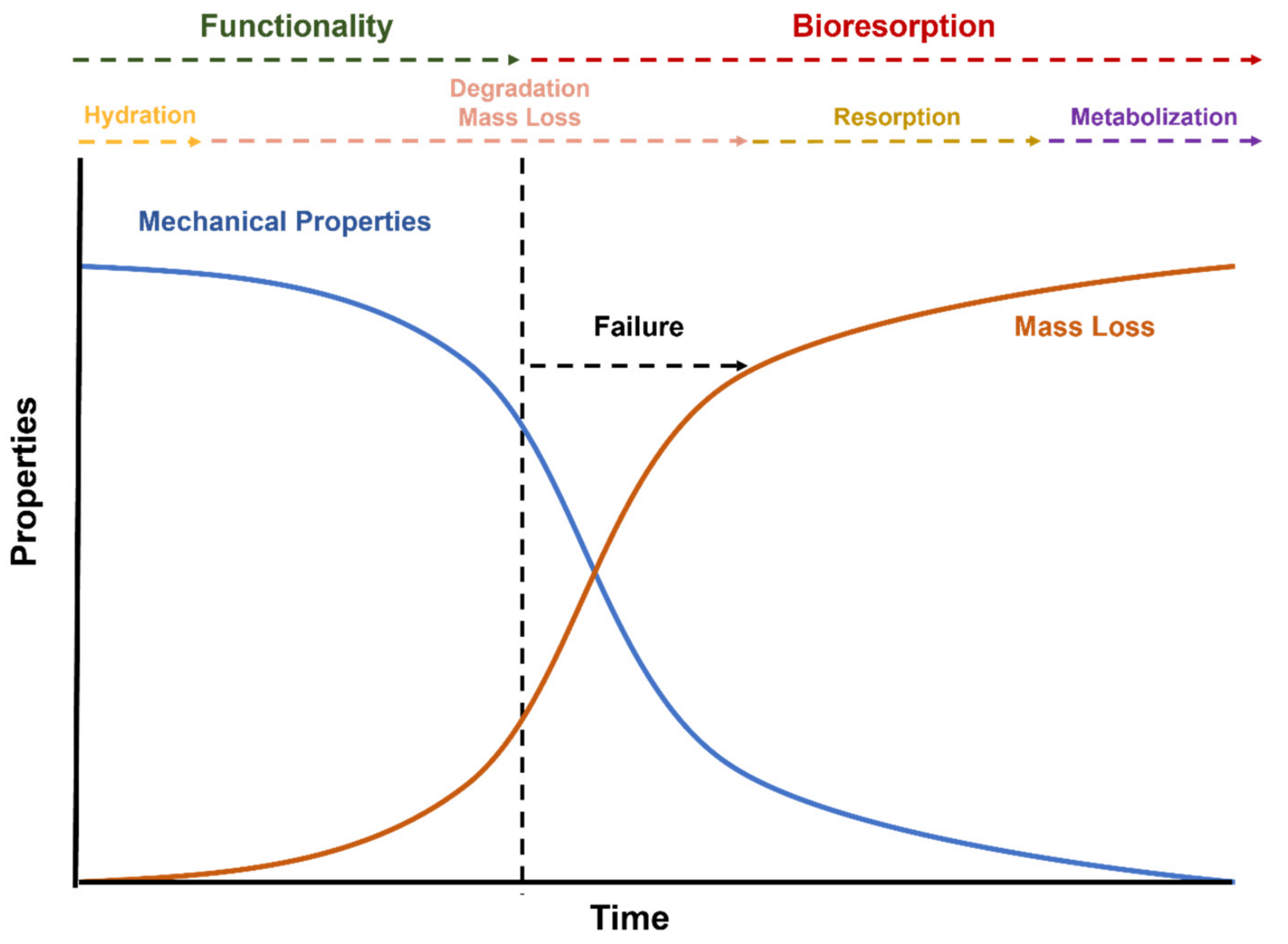 Polymers 14 01099 g003
