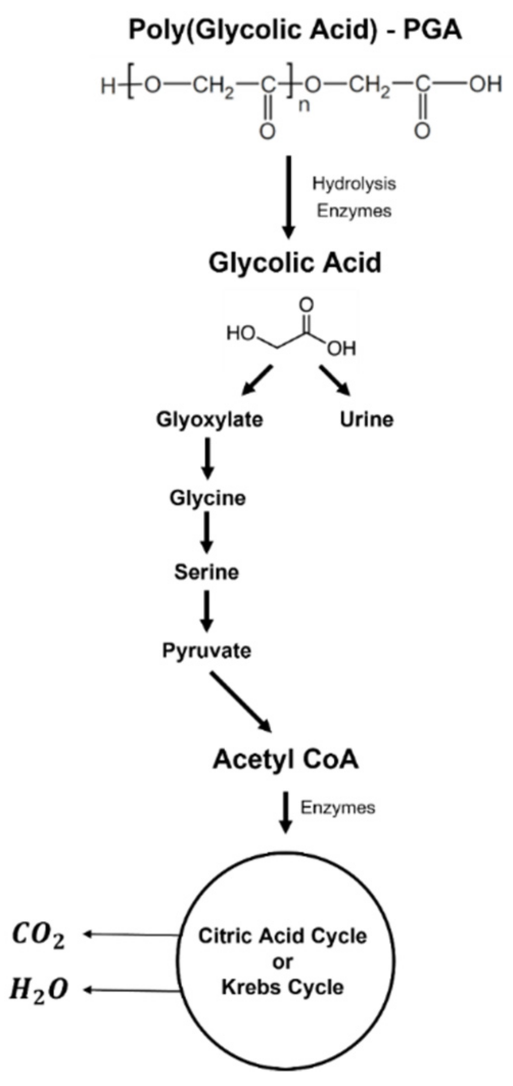 Polymers 14 01099 g007