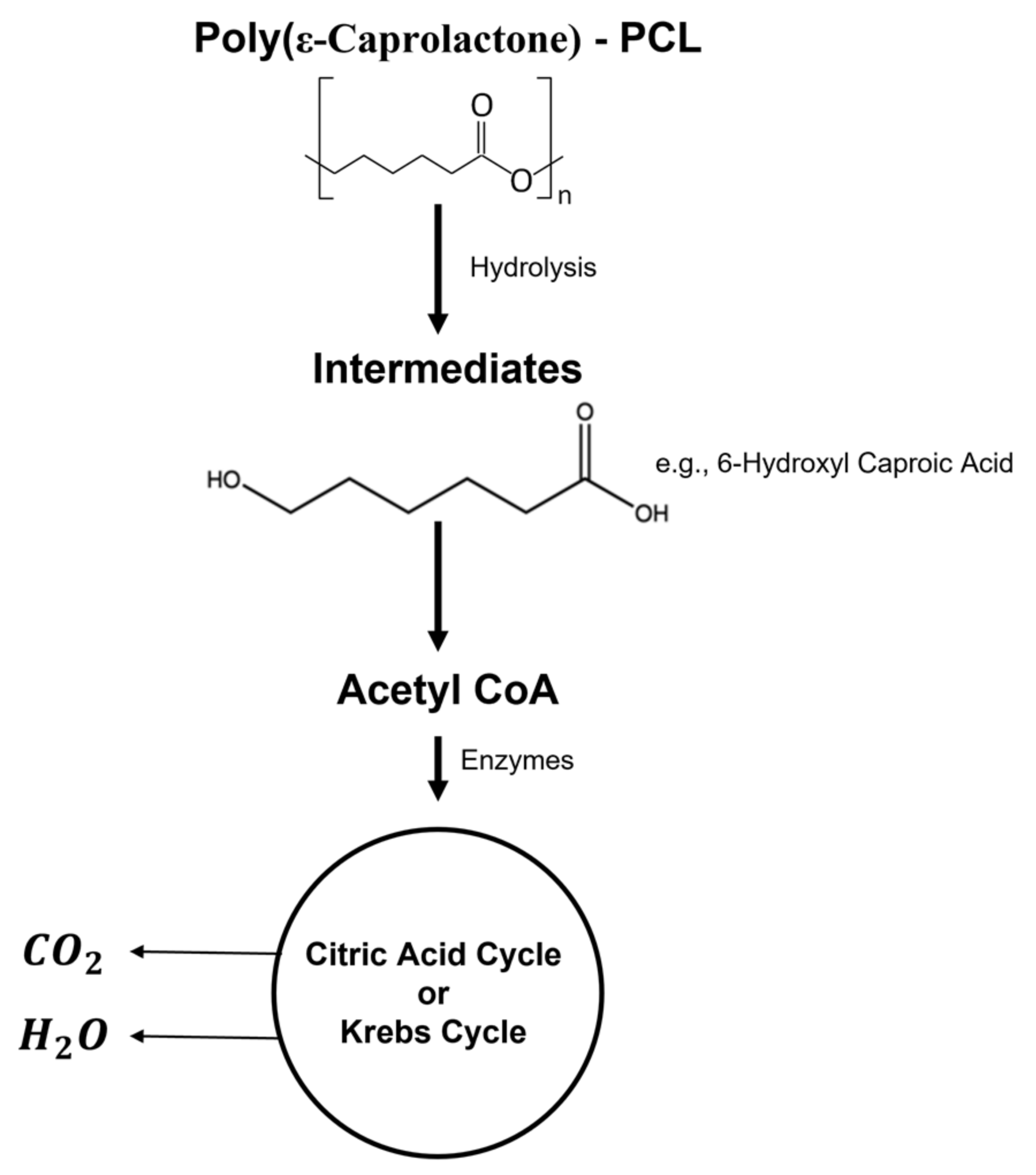 Polymers 14 01099 g010