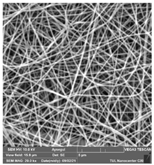 Polymers 14 01102 i001 Polymers 14 01102 i001