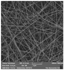 Polymers 14 01102 i002 Polymers 14 01102 i002