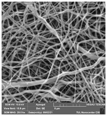 Polymers 14 01102 i004 Polymers 14 01102 i004