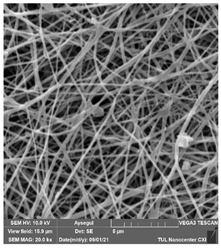 Polymers 14 01102 i008 Polymers 14 01102 i008