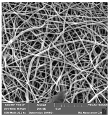 Polymers 14 01102 i011 Polymers 14 01102 i011