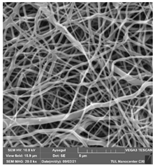 Polymers 14 01102 i013 Polymers 14 01102 i013