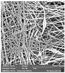 Polymers 14 01102 i015 Polymers 14 01102 i015
