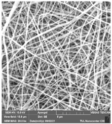 Polymers 14 01102 i017 Polymers 14 01102 i017