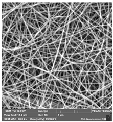 Polymers 14 01102 i019 Polymers 14 01102 i019
