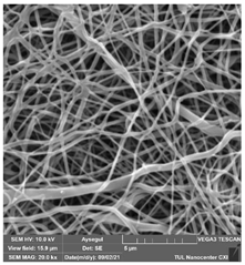 Polymers 14 01102 i022 Polymers 14 01102 i022