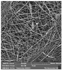 Polymers 14 01102 i024 Polymers 14 01102 i024
