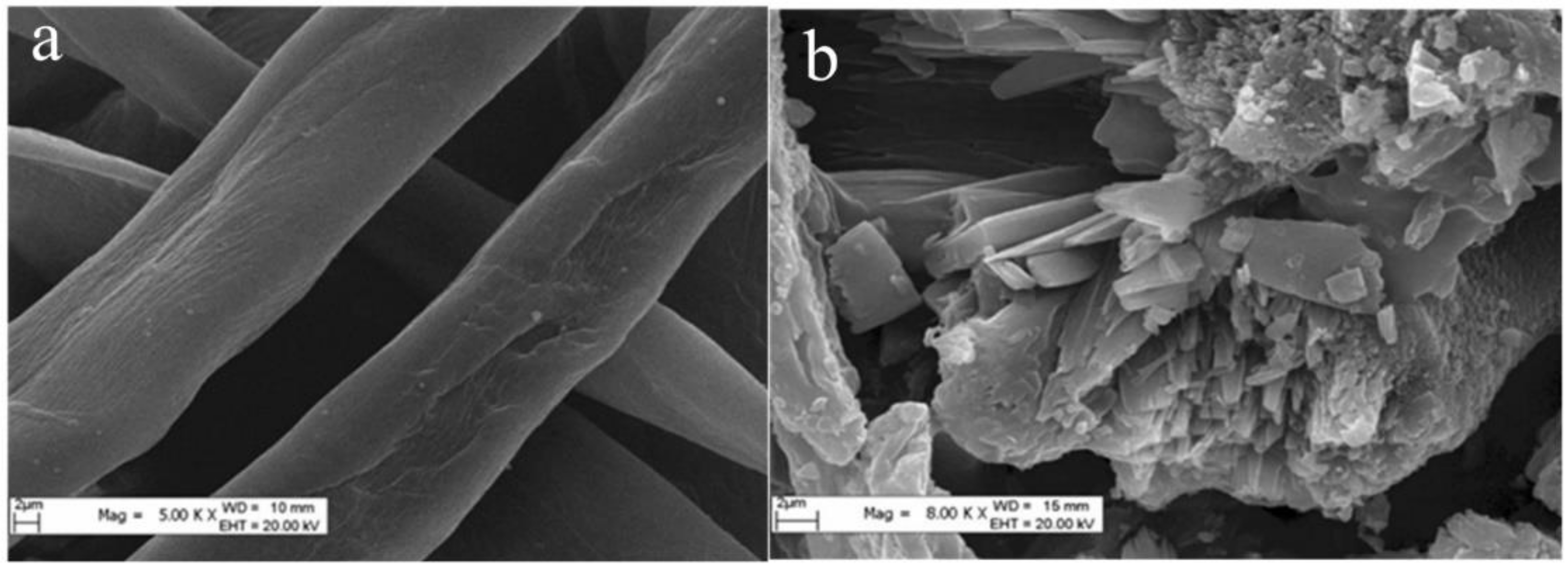 Polymers 14 01103 g002