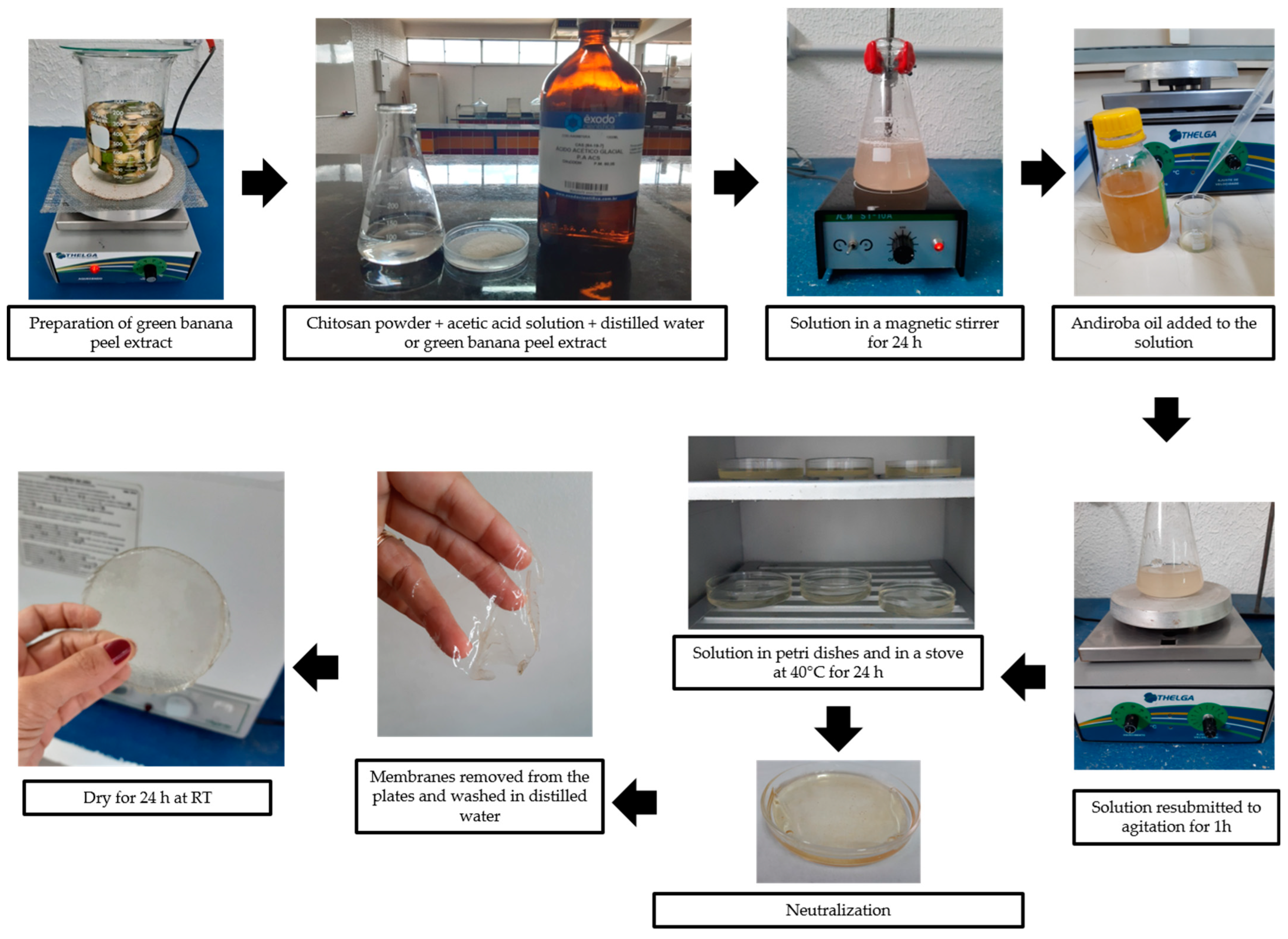Polymers 14 01105 g001