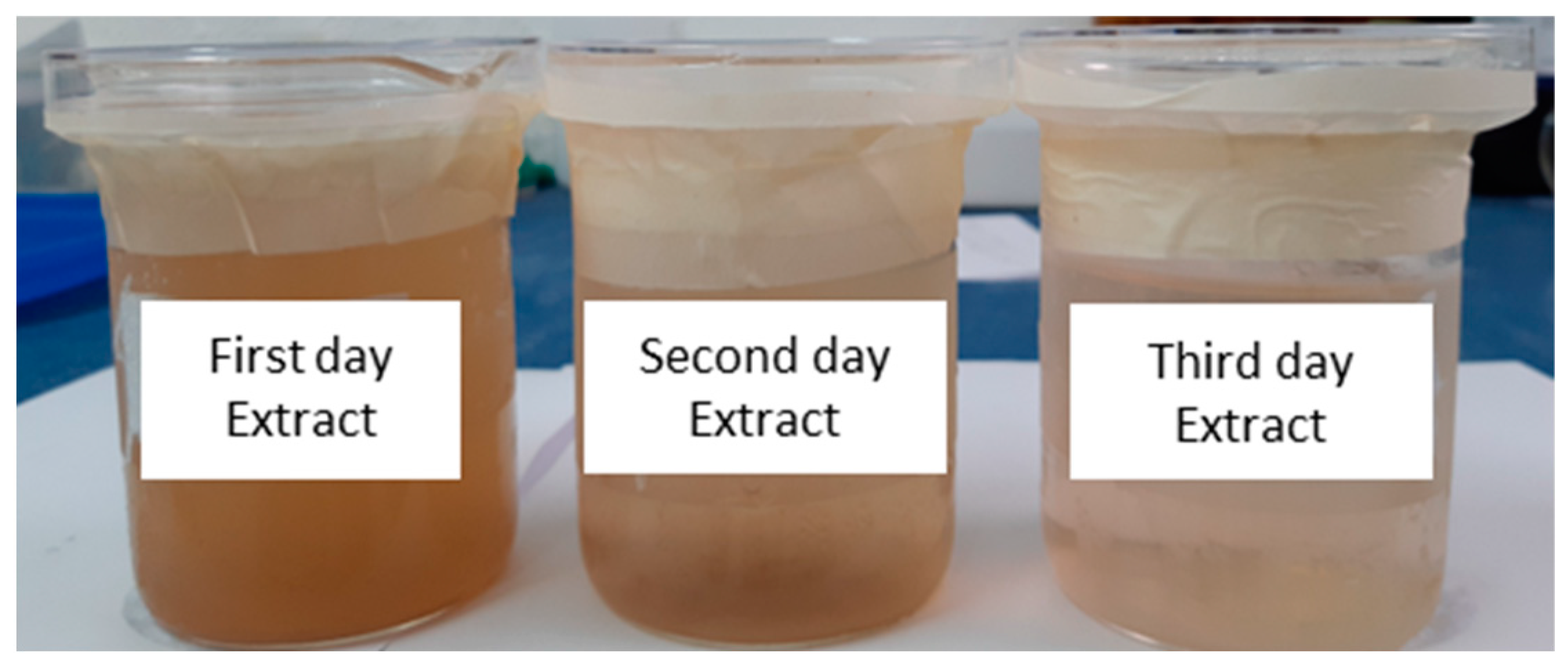 Polymers 14 01105 g002