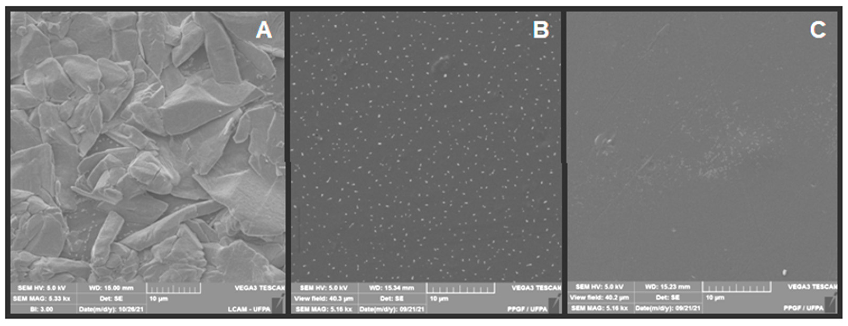 Polymers 14 01105 g007