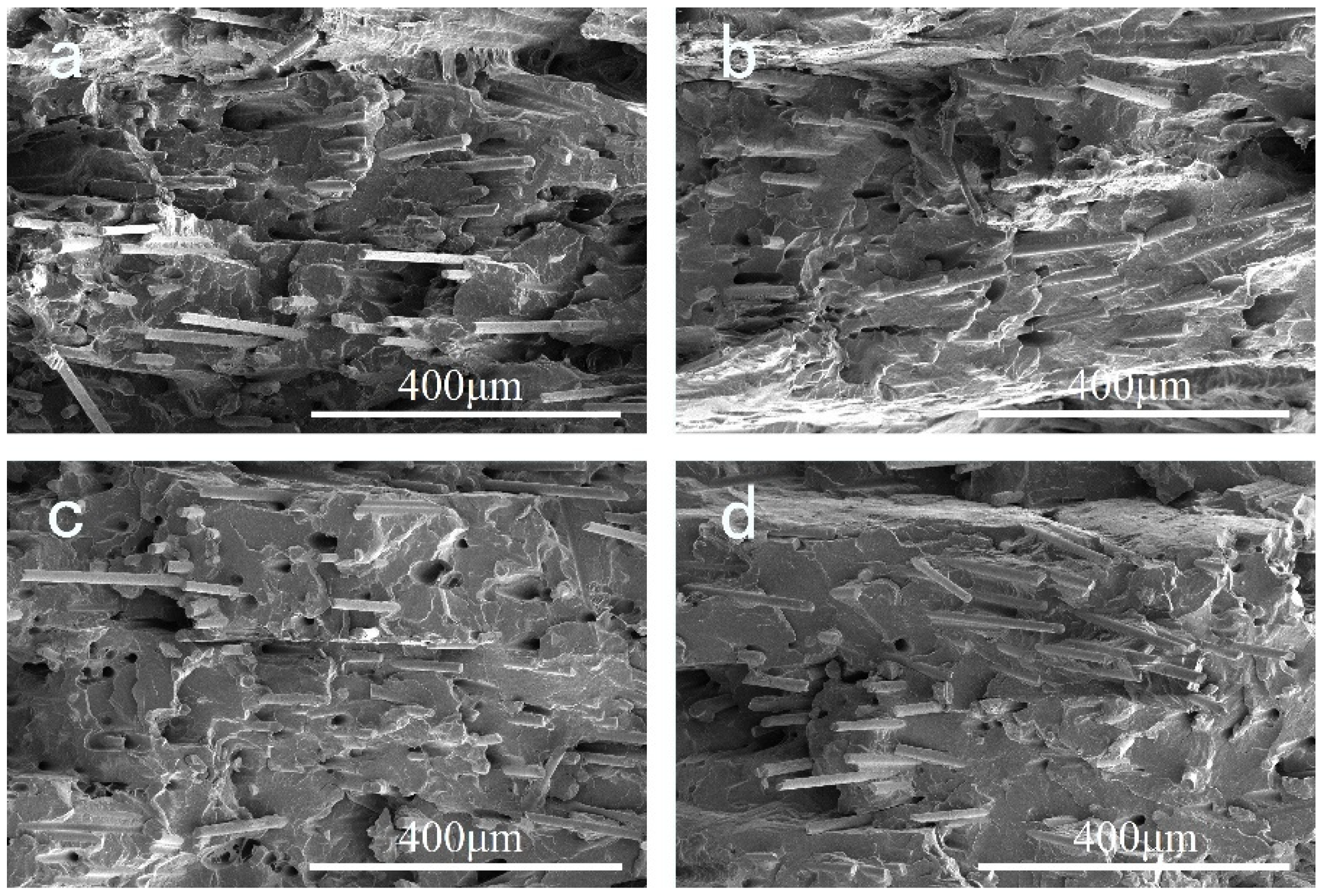 Polymers 14 01106 g010